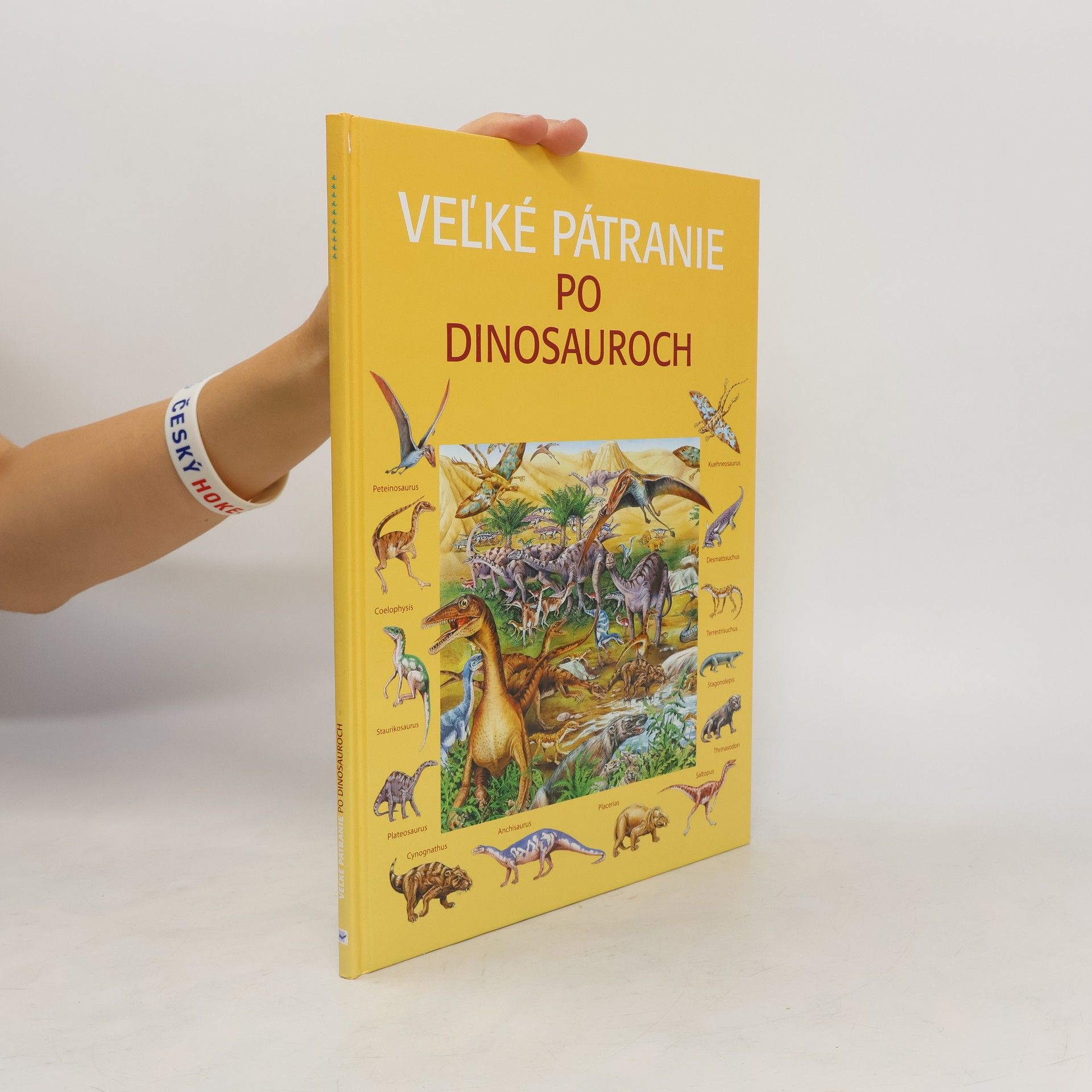 Rosie Heywood Veľké pátranie po dinosauroch