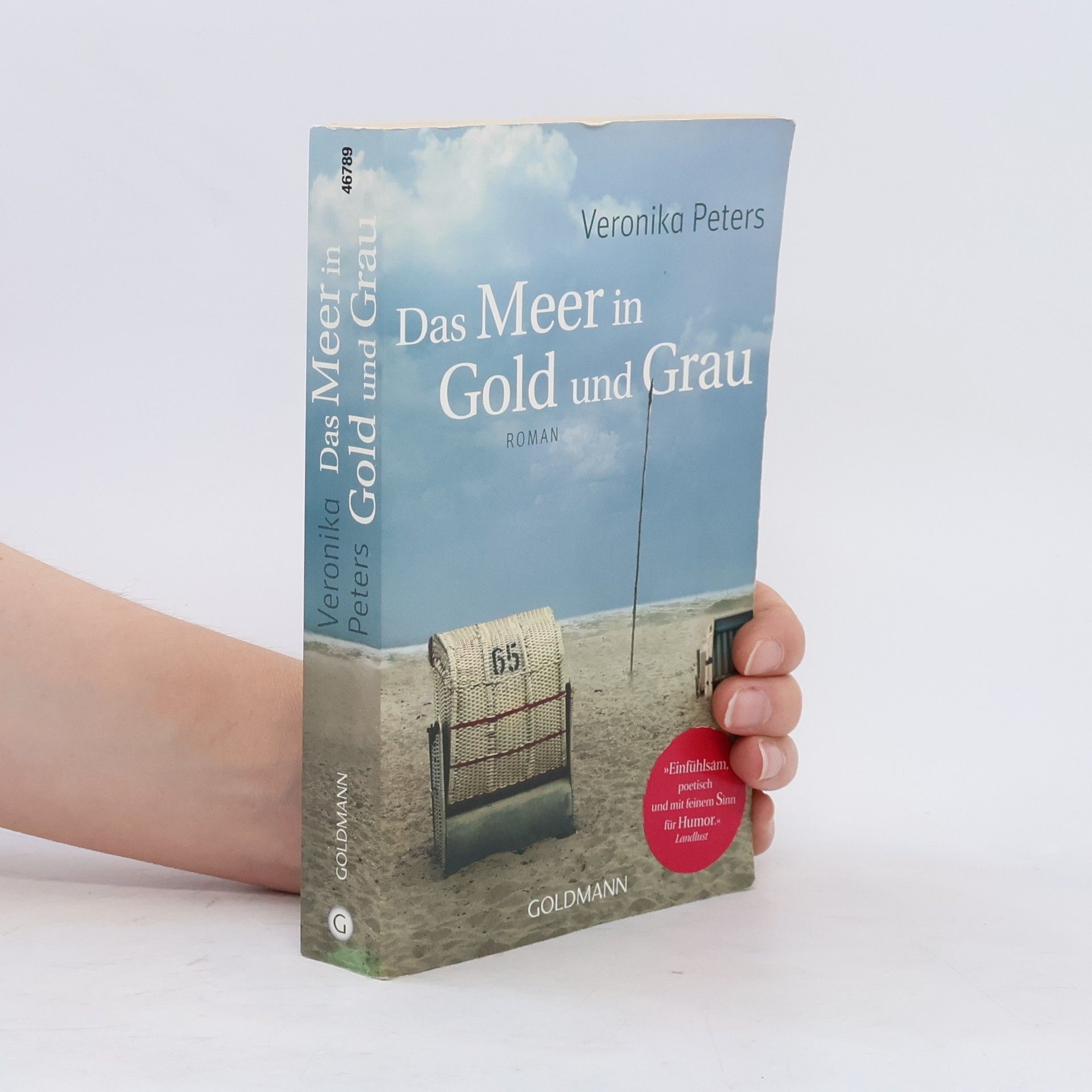 Veronika Peters Das Meer in Gold und Grau