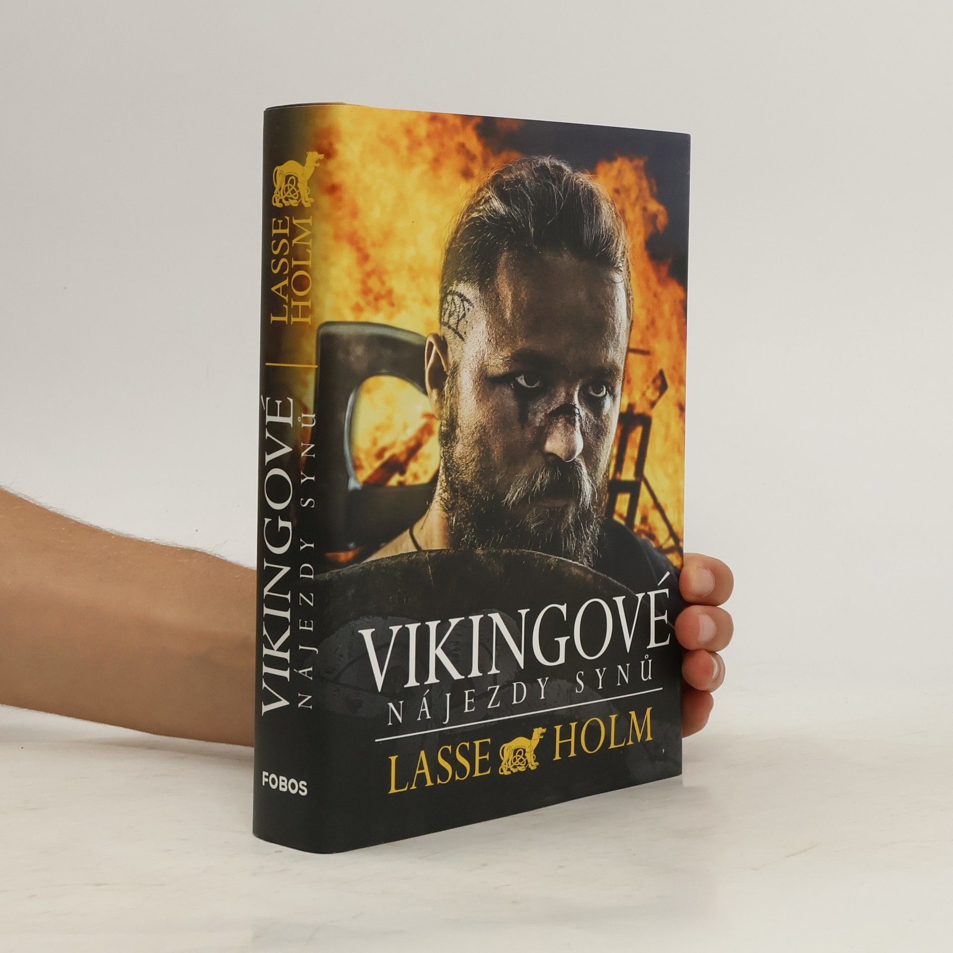 Lasse Holm Vikingové. Nájezdy synů