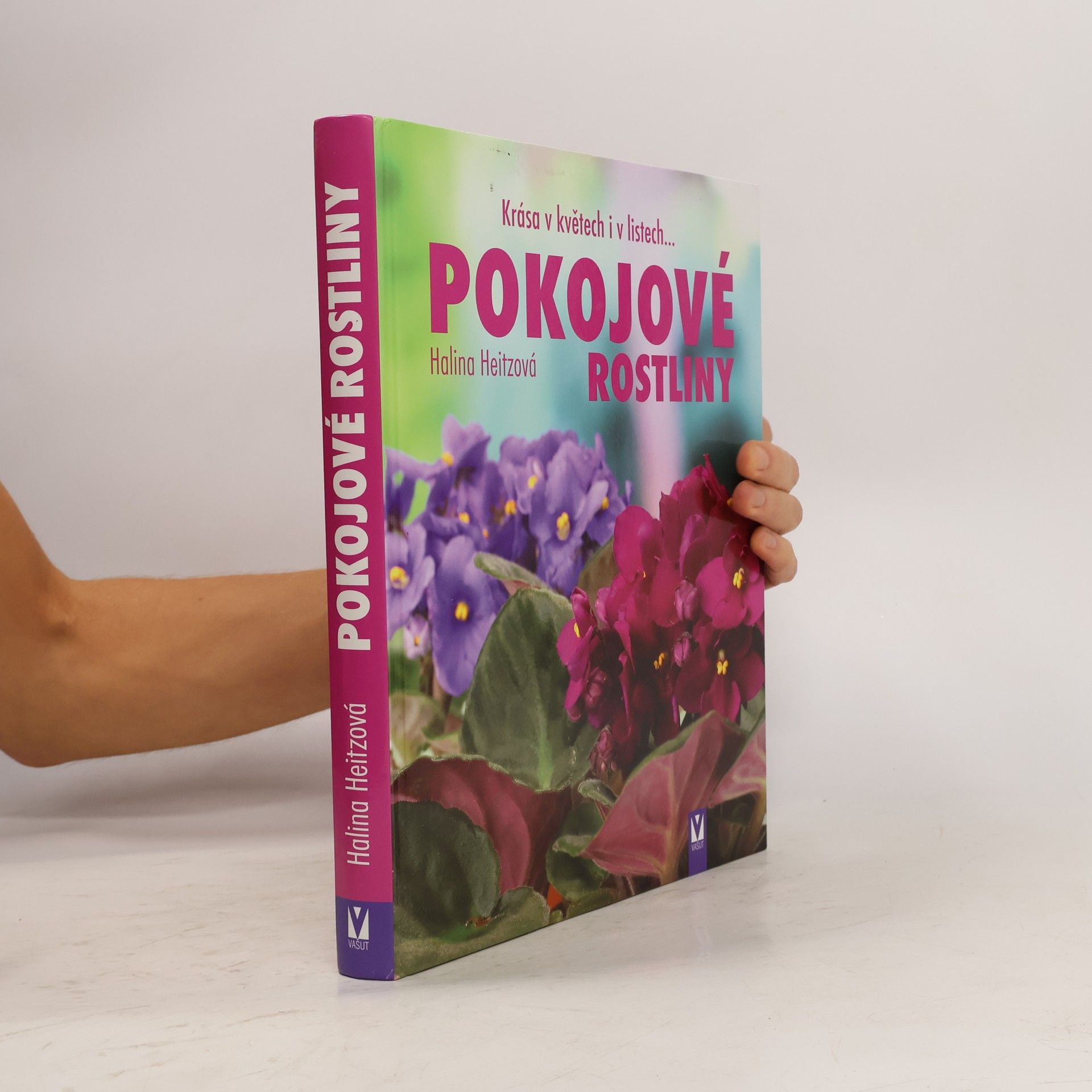 Kolektiv autorů Pokojové rostliny