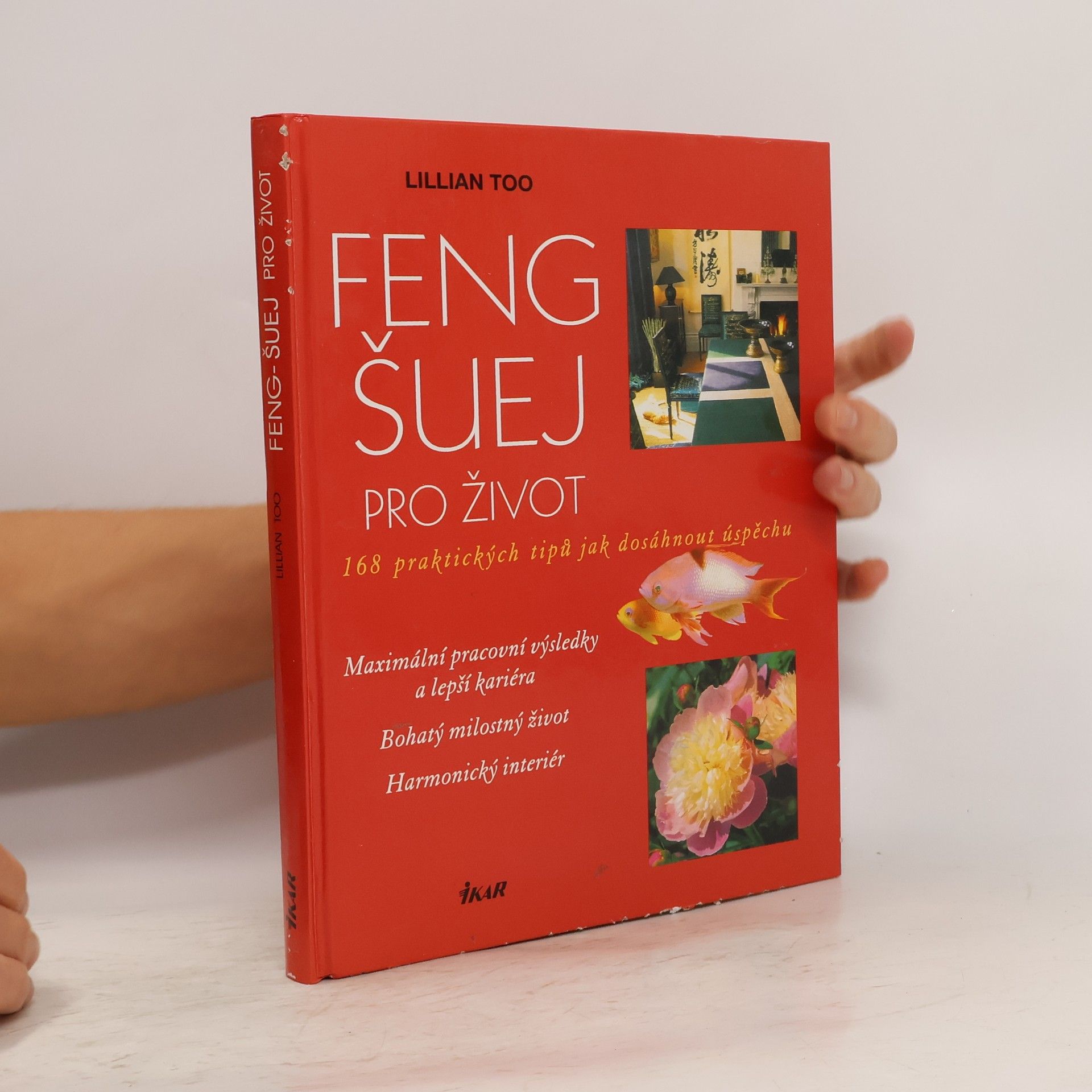 Lillian Too Feng-šuej pro život. 168 praktických tipů jak dosáhnout úspěchu