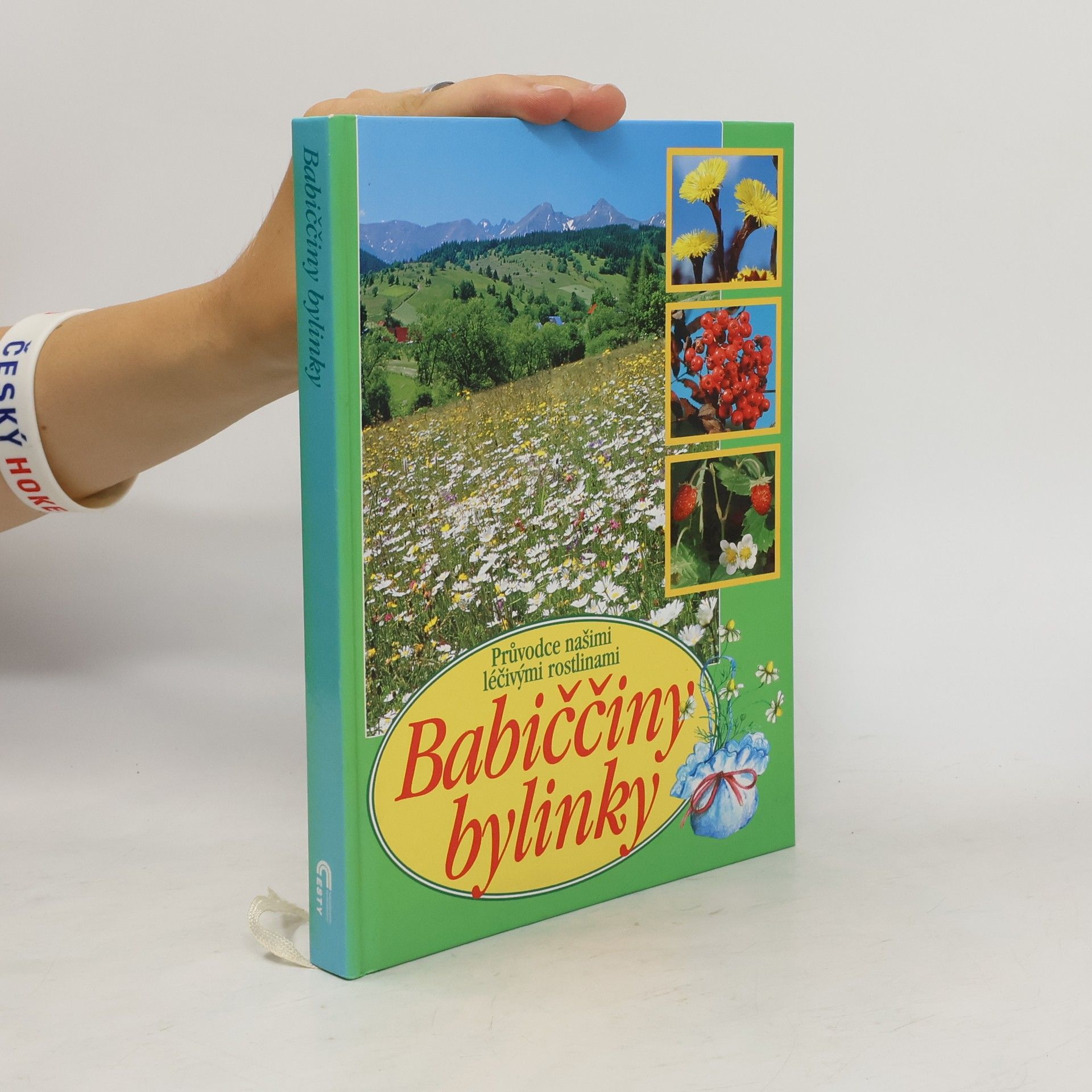 Babiččiny bylinky: Průvodce našimi léčivými rostlinami