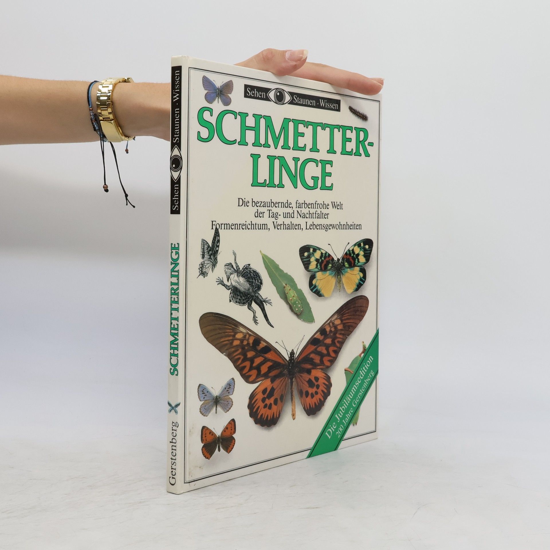 Margot Wilhelmi Schmetterlinge