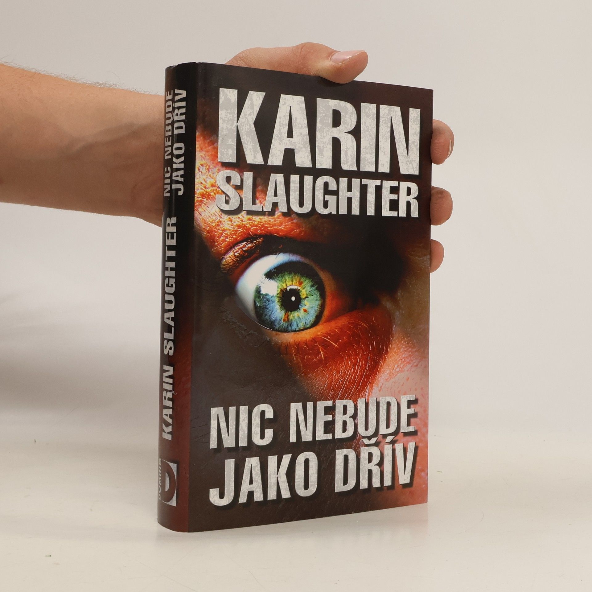 Karin Slaughter Nic nebude jako dřív