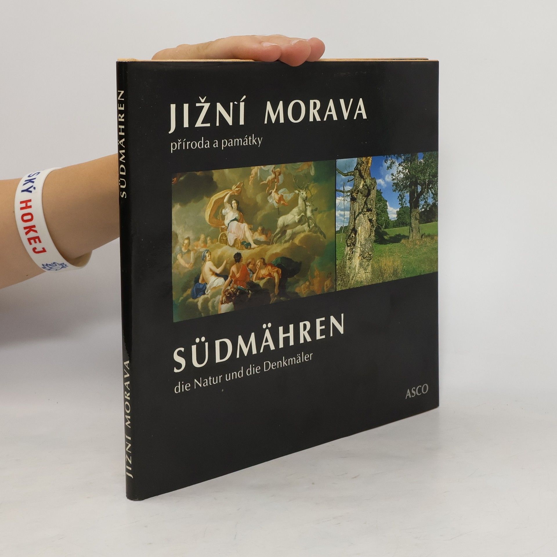 Bohumír Prokůpek Jižní Morava. Příroda a památky. Südmähren. Die Natur und die Denkmäler