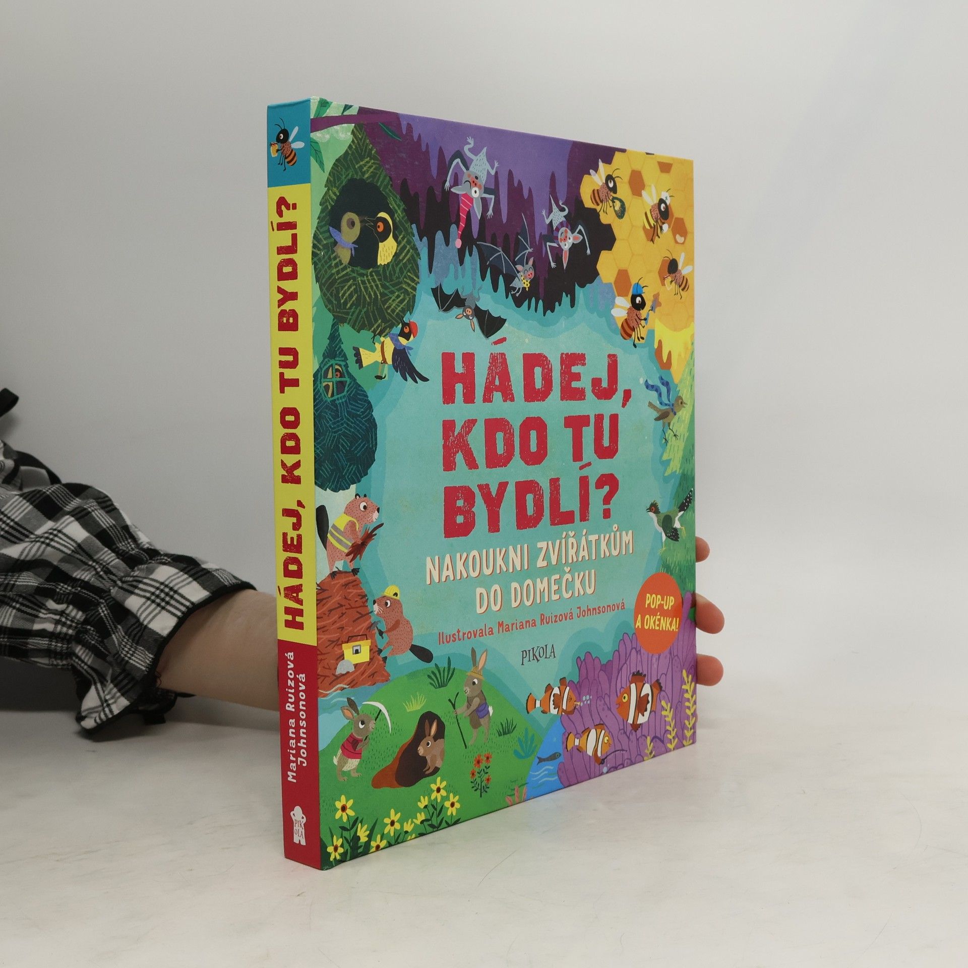 Ruth Symons Hádej, kdo tu bydlí? - Nakoukni zvířátkům do domečku
