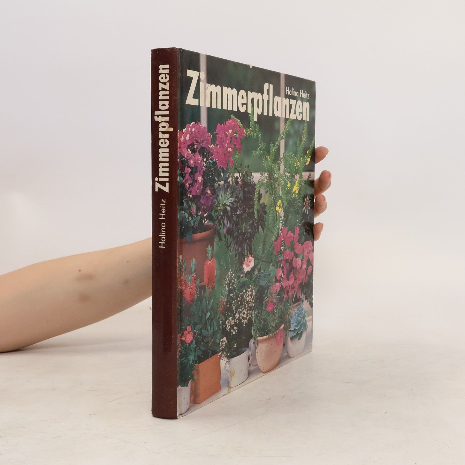 Halina Heitz Zimmerpflanzen