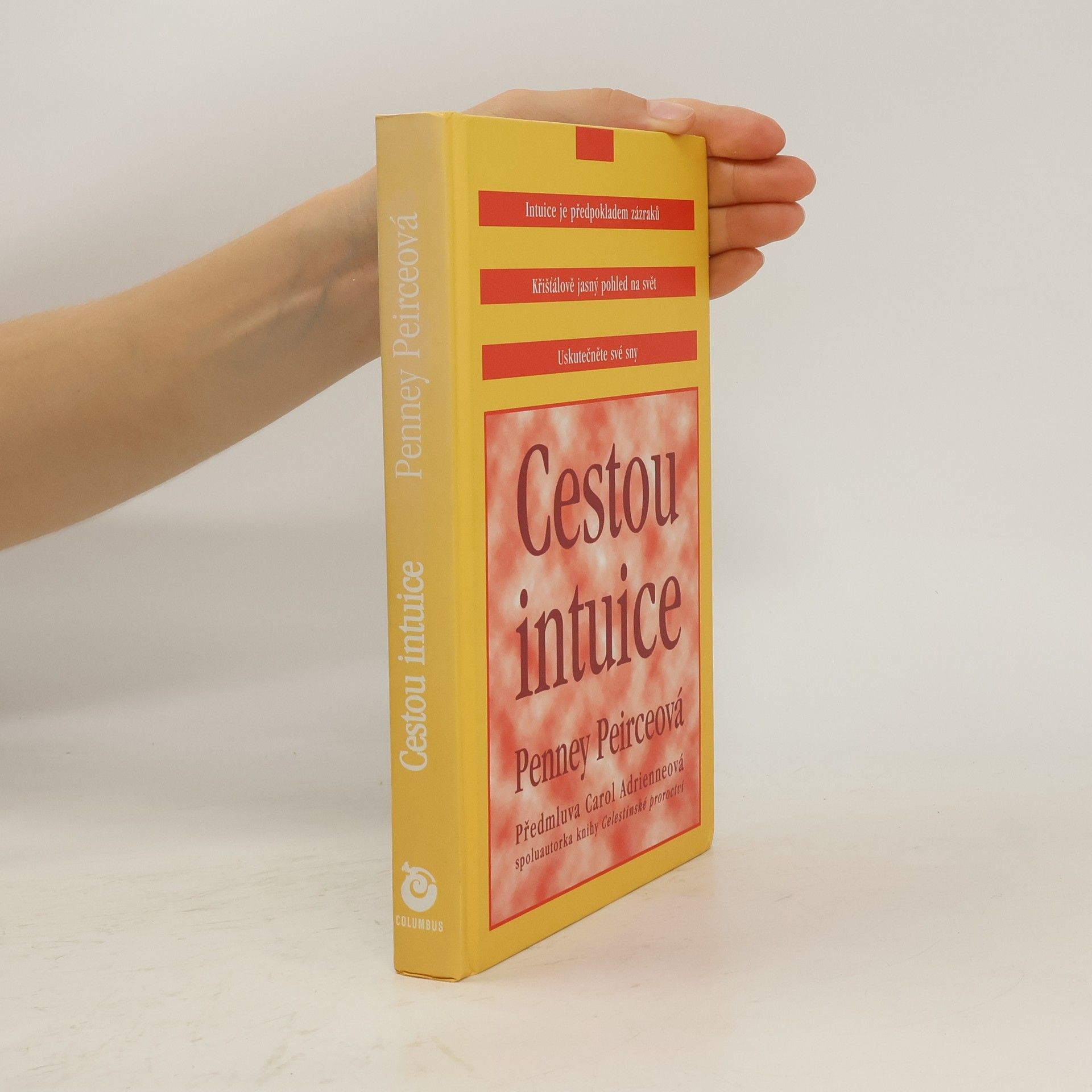 Cestou intuice: Průvodce životem pod vedením vnitřní moudrosti