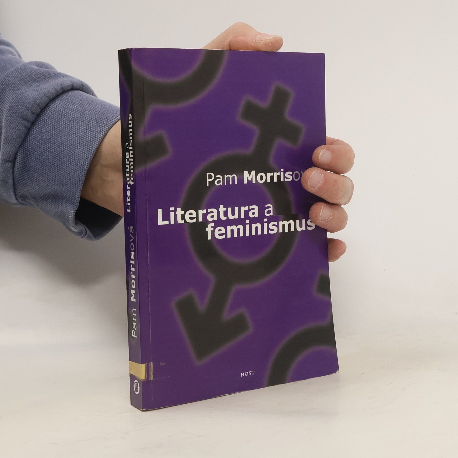 Pam Morris Literatura a feminismus