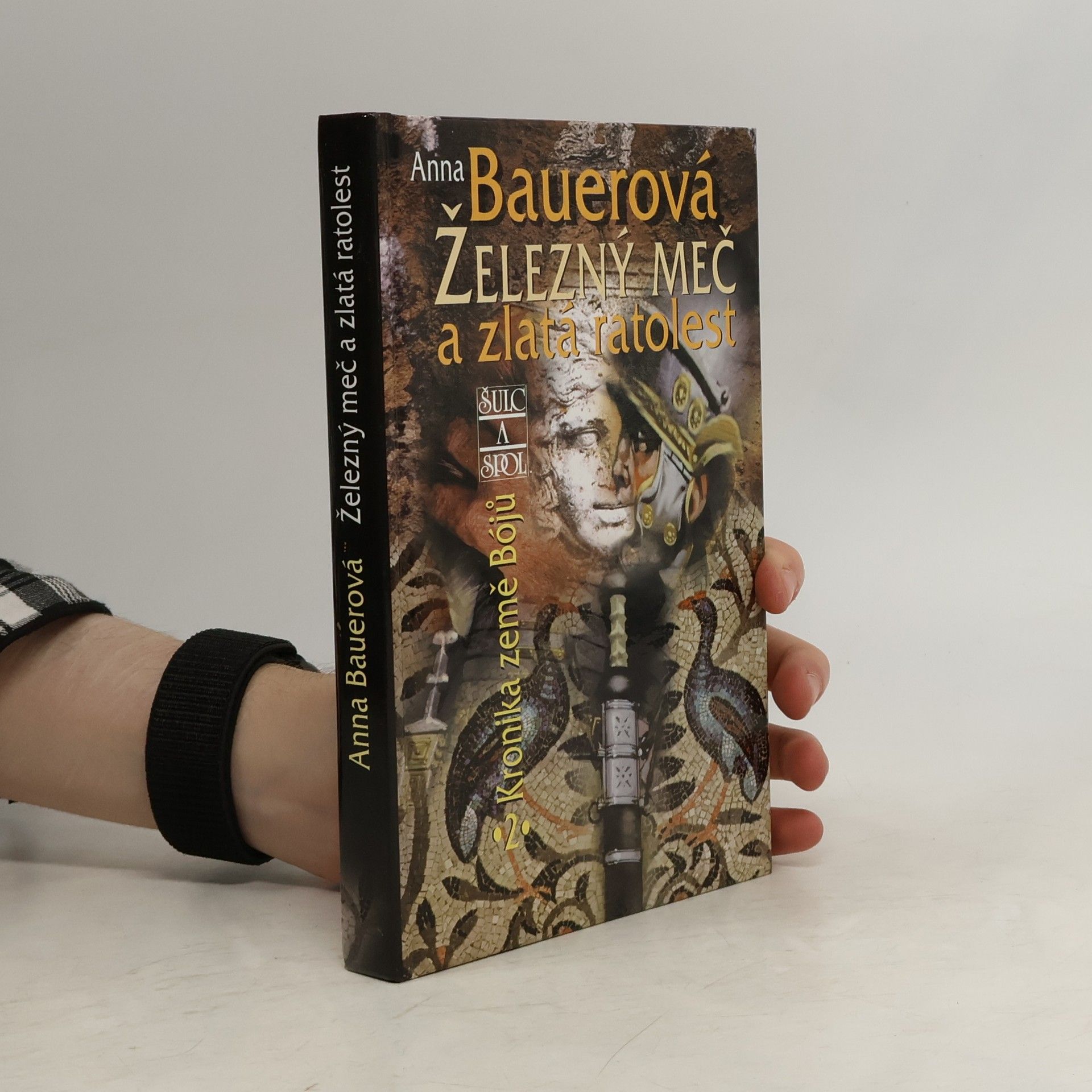 Anna Bauer Železný meč a zlatá ratolest: Kronika země Bójů, 2