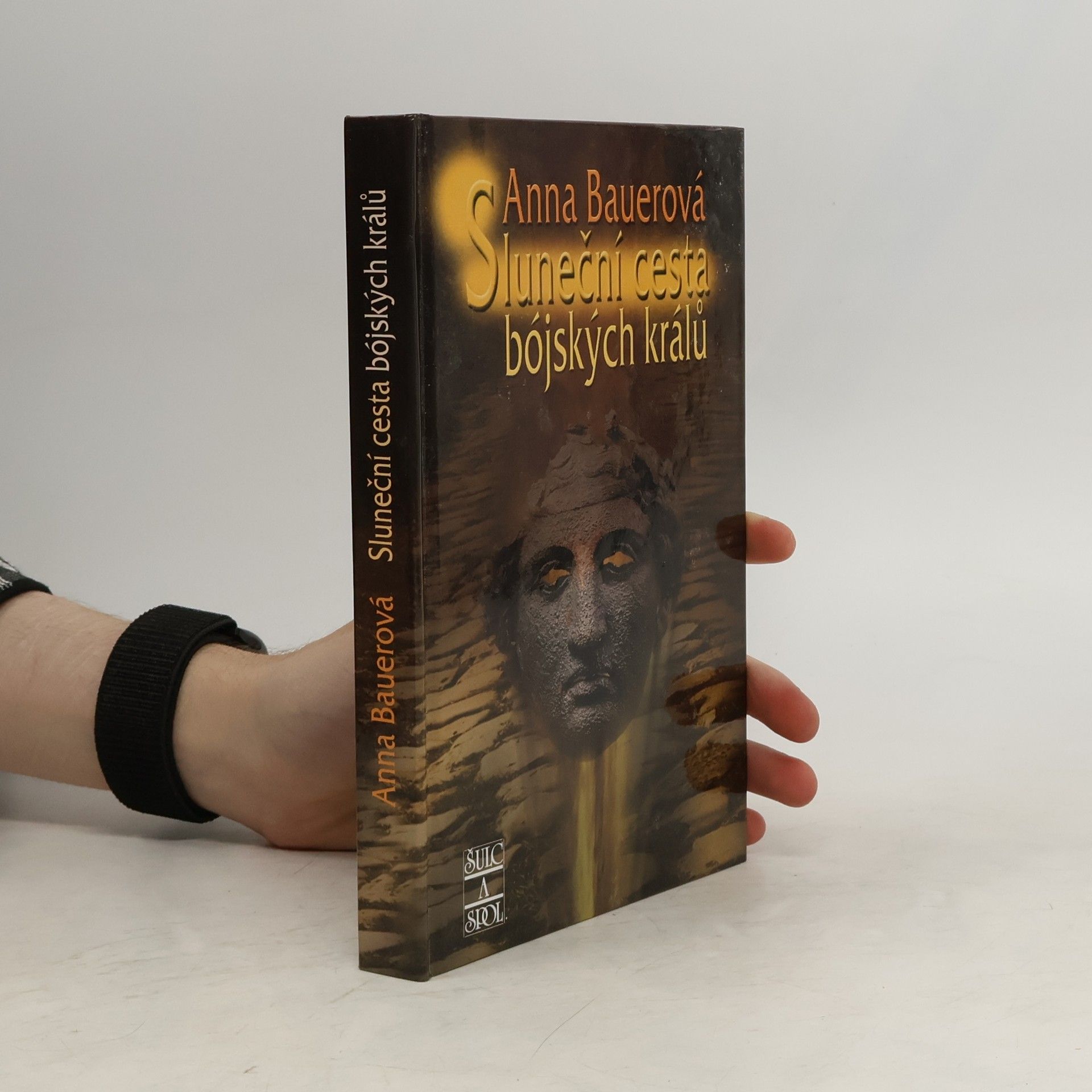 Sluneční cesta bójských králů