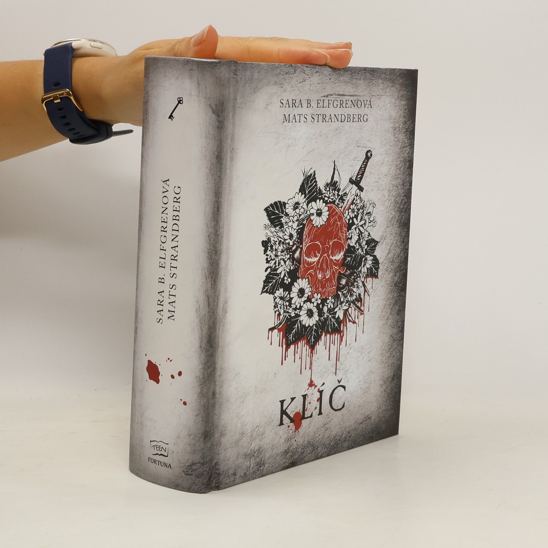 Sara Bergmark Elfgren Klíč. Série Kruh, díl 3.
