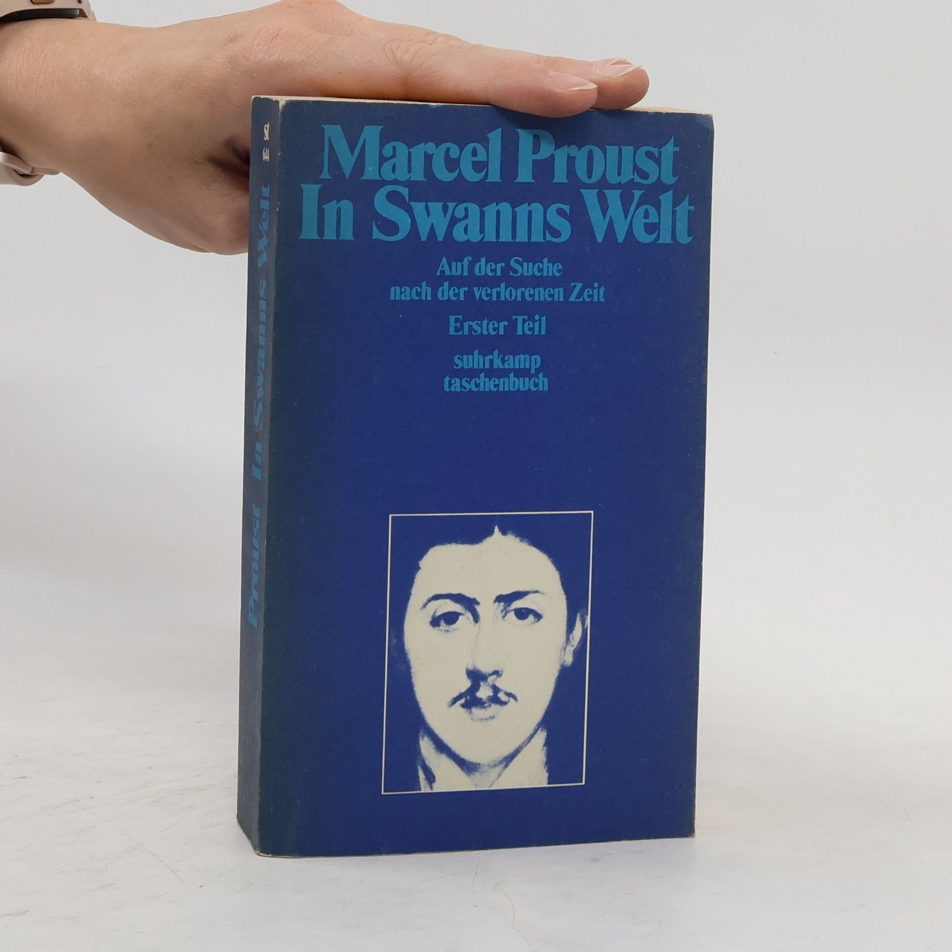 Marcel Proust In Swanns Welt