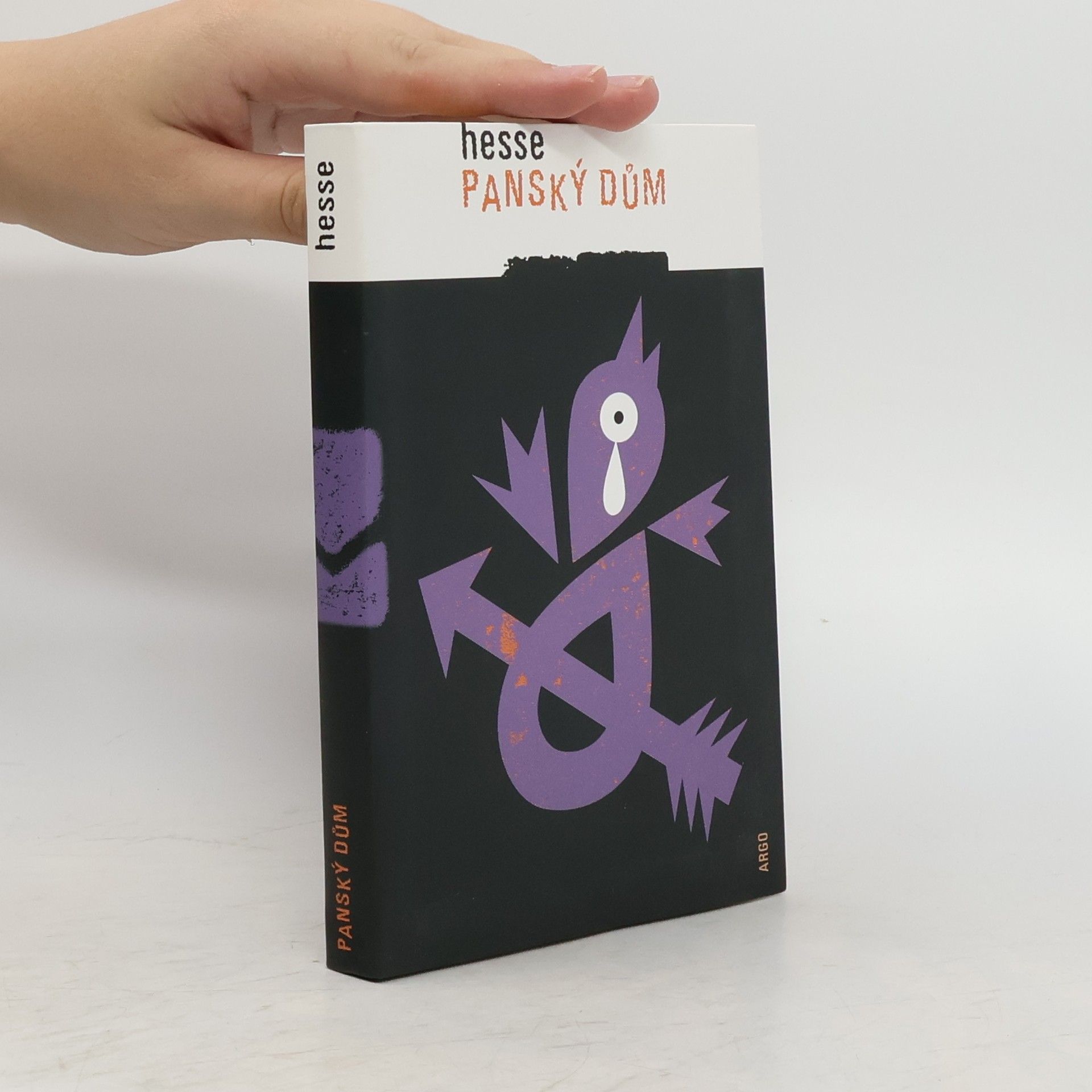 Hermann Hesse Panský dům