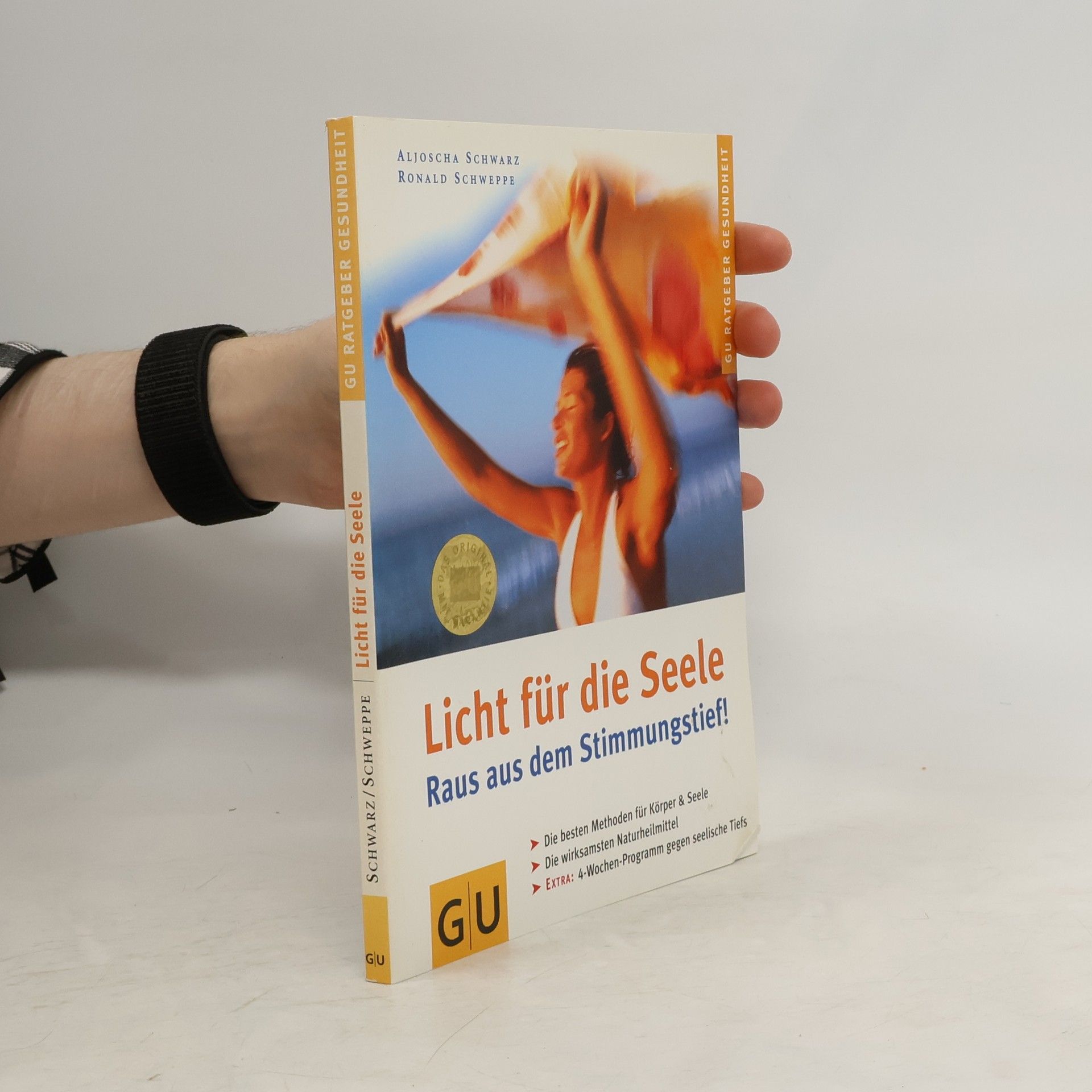 Aljoscha Long Licht für die Seele. Raus aus dem Stimmungstief!