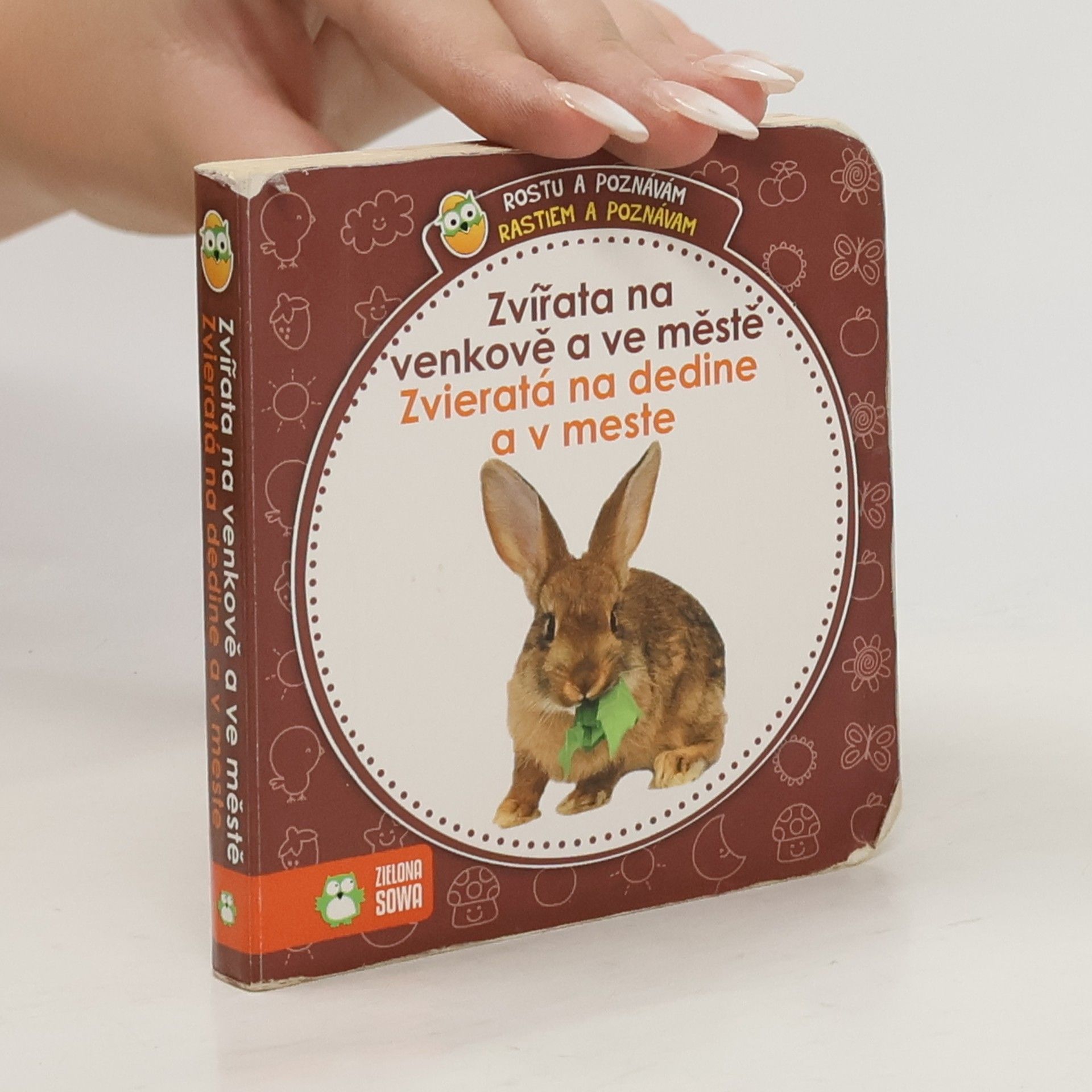 Kolektiv autorů Zvířata na venkově a ve městě/Zvieratá na dedine a v meste