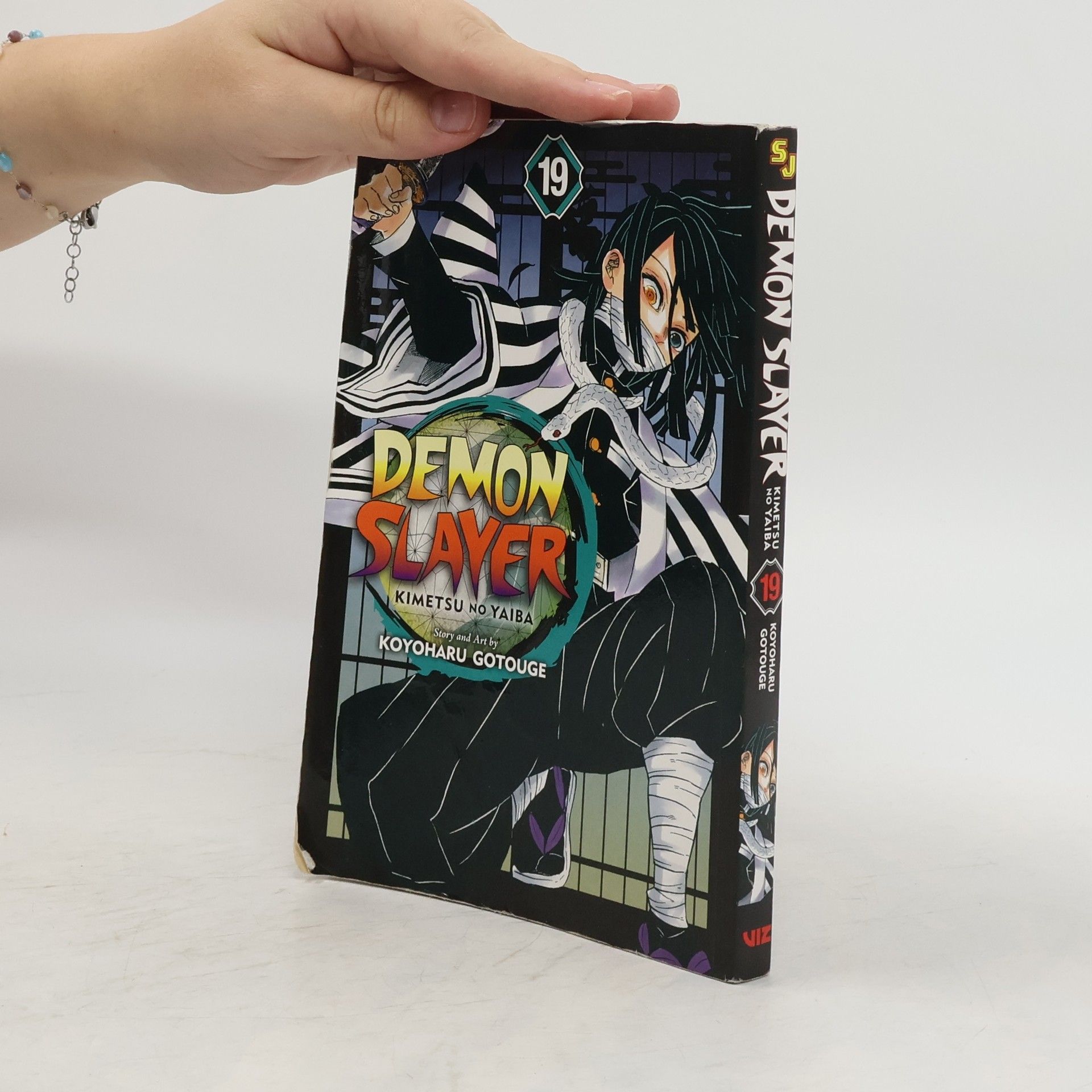Koyoharu Gotoge Demon Slayer: Kimetsu no Yaiba, Vol. 19