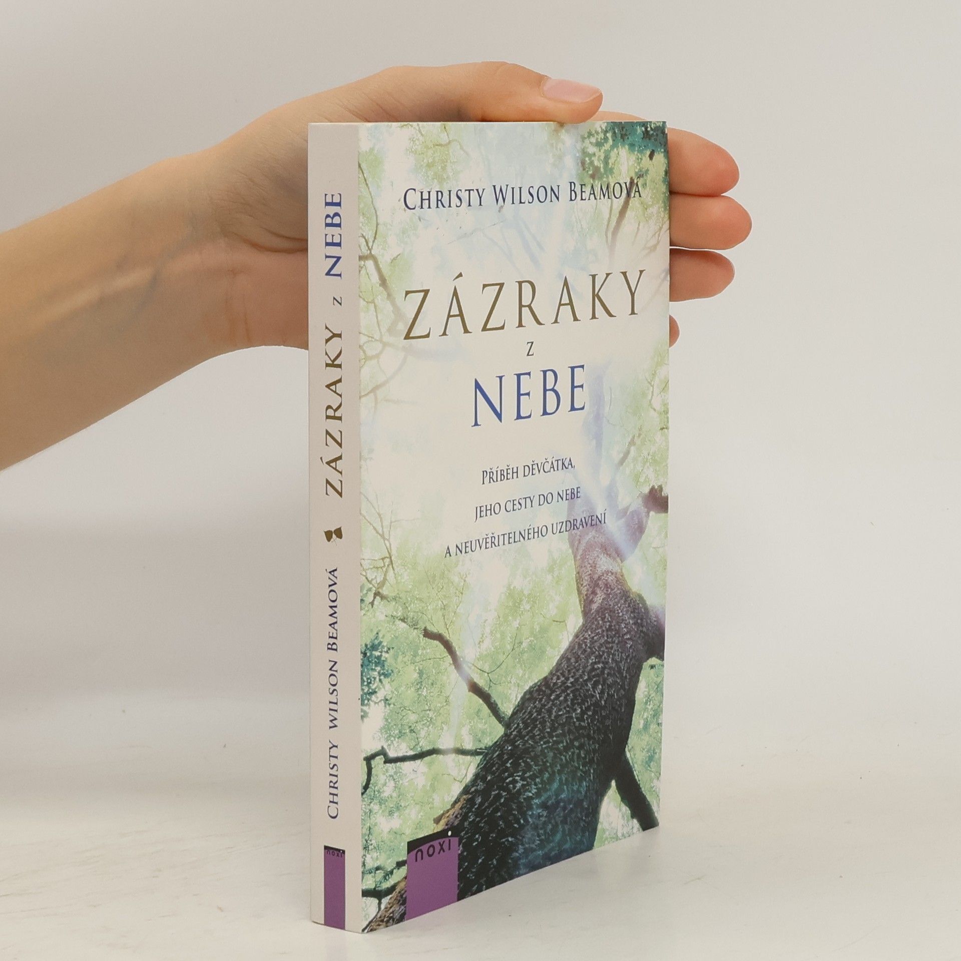 Christy Wilson Beam Zázraky z nebe