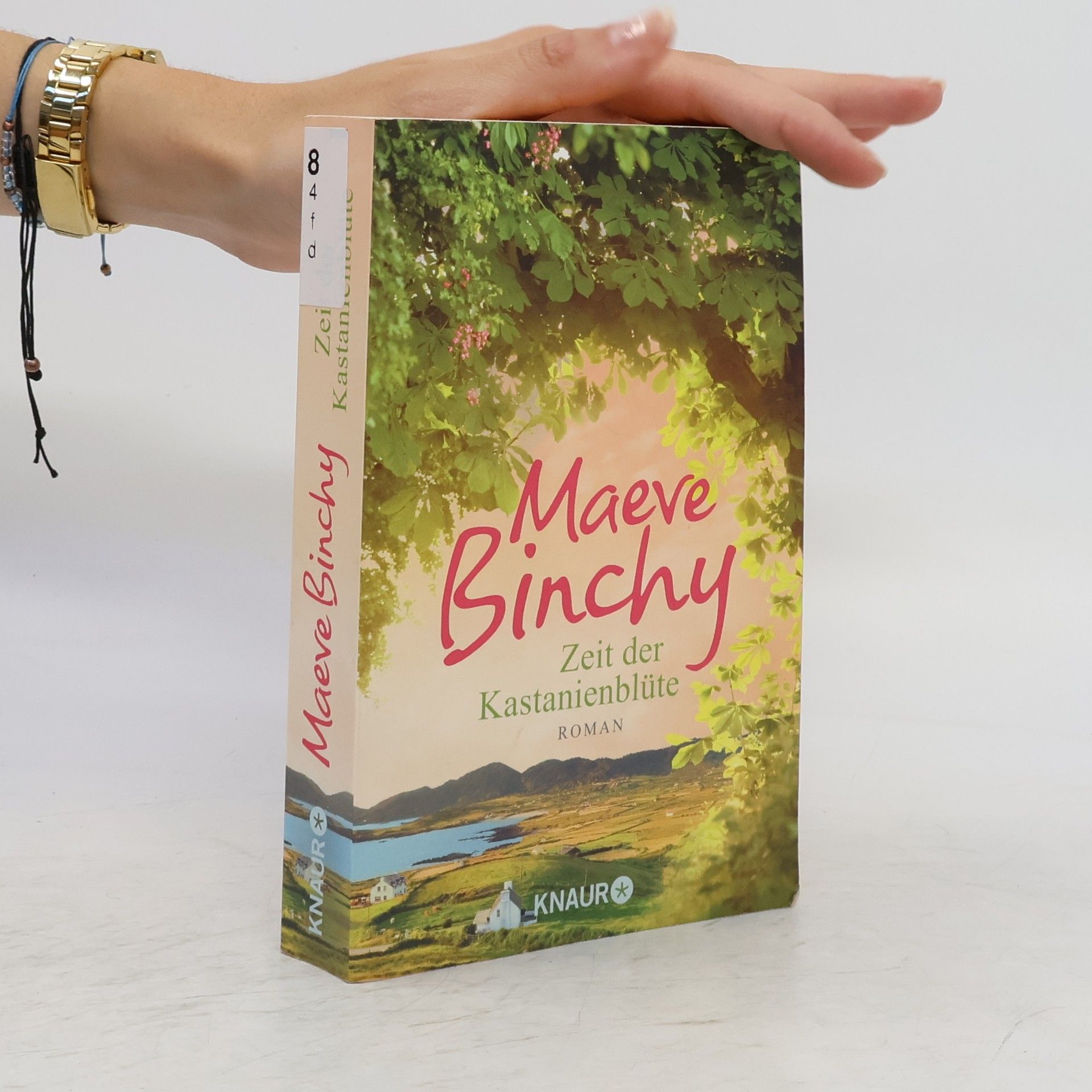 Maeve Binchy Zeit der Kastanienblüte
