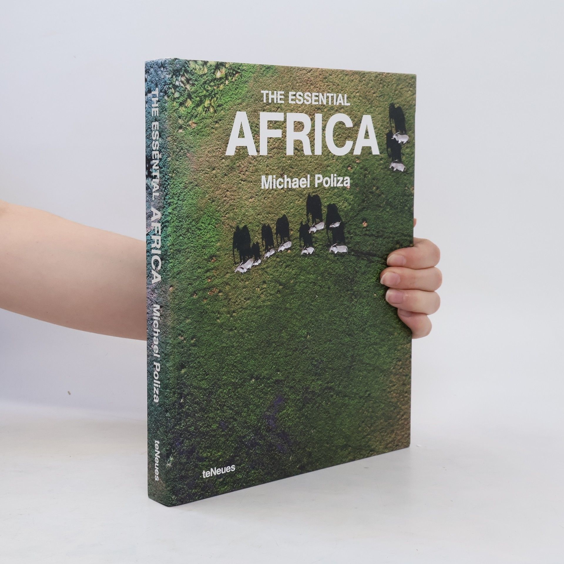 Michael Poliza The essential Africa