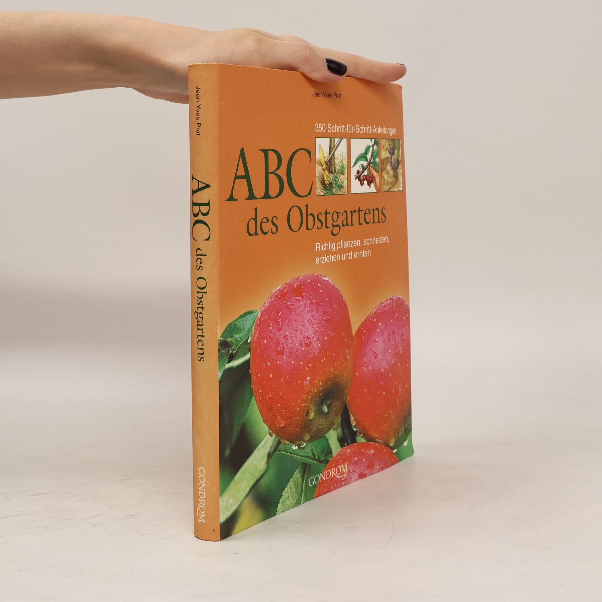 Jean-Yves Prat ABC des Obstgartens