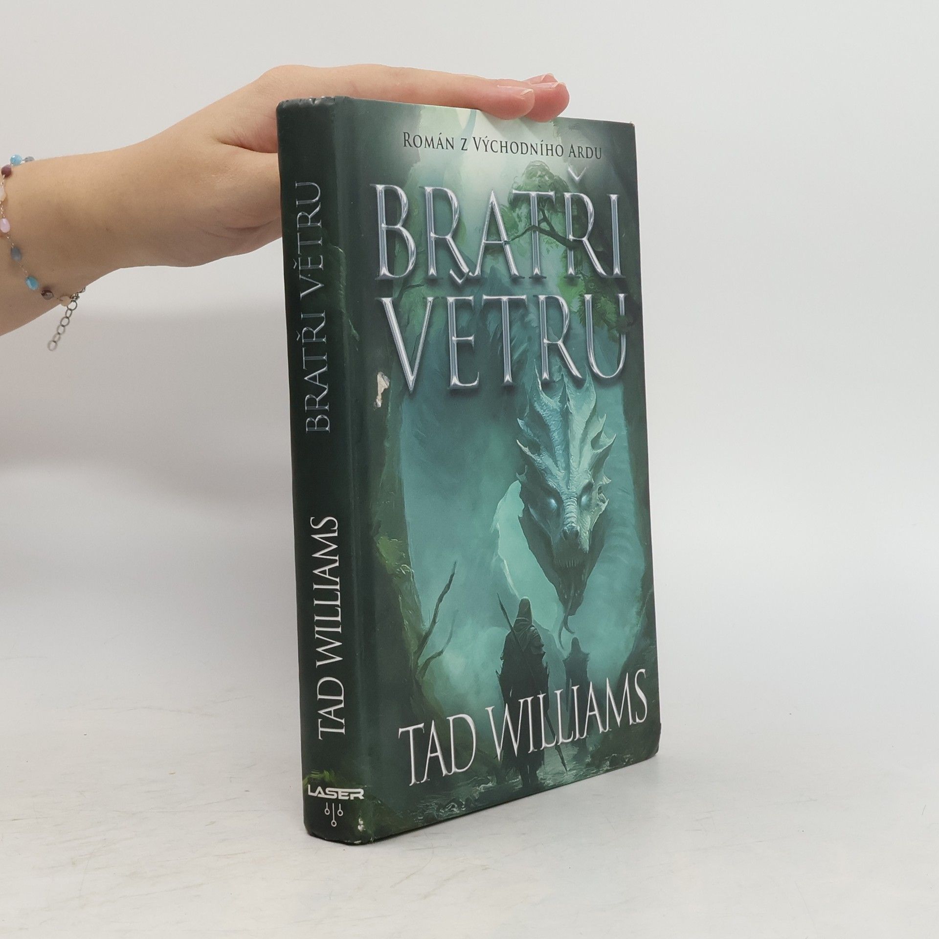 Tad Williams Bratři větru