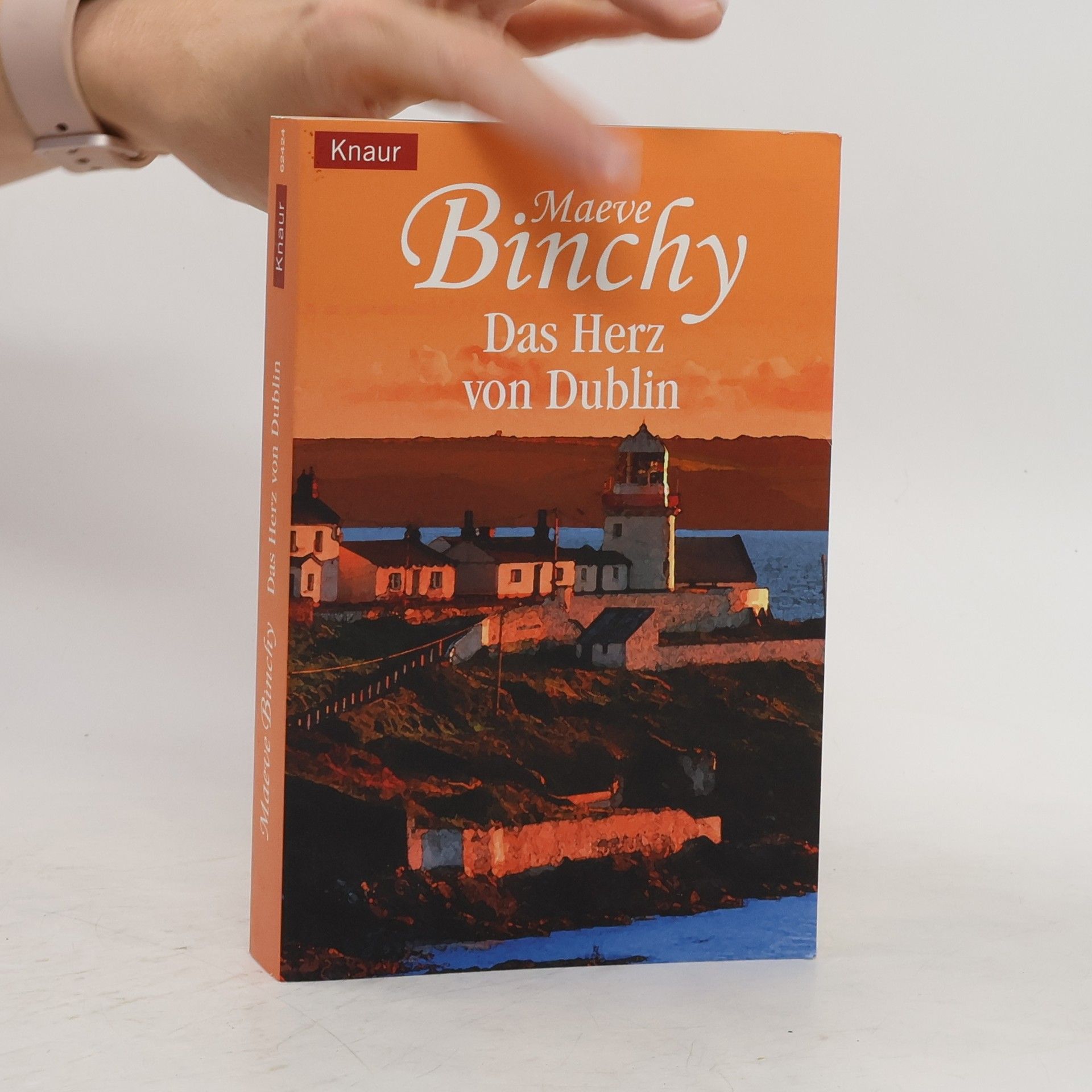 Maeve Binchy Das Herz von Dublin