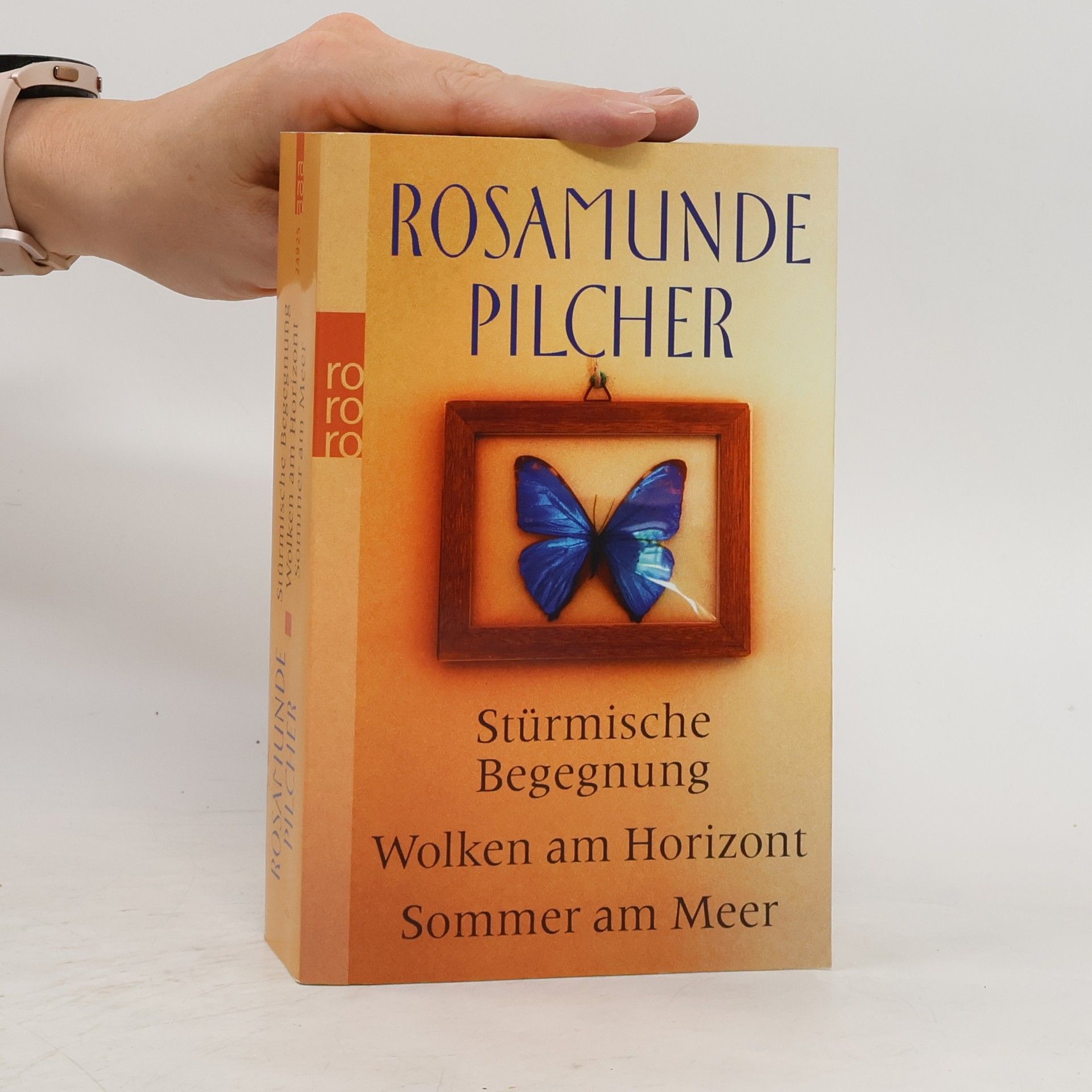 Rosamunde Pilcher Stürmische Begegnung. Wolken am Horizont. Sommer am Meer. Drei Romane