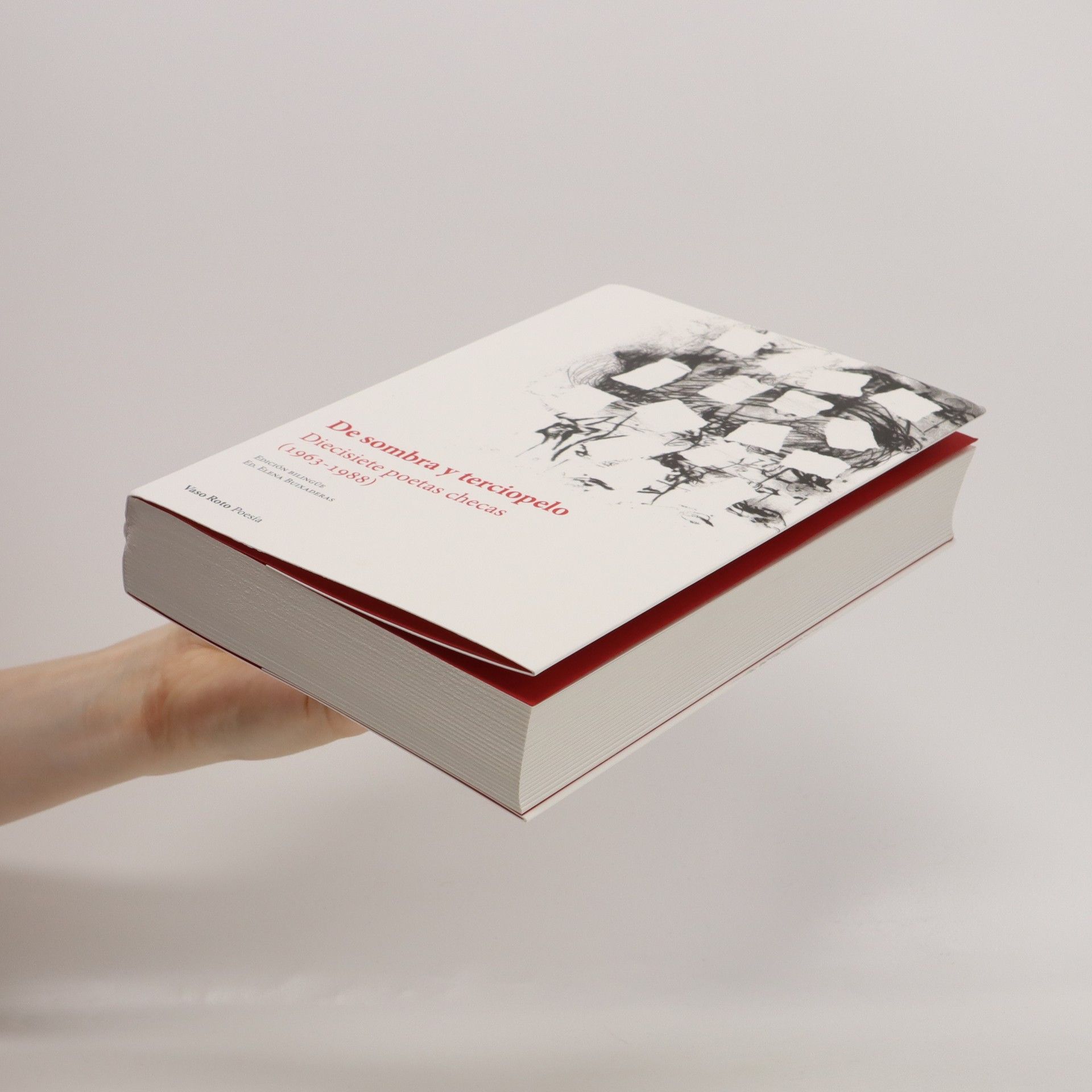 Elena Buixaderas De sombra y terciopelo : diecisiete poetas checas (1963-1988)