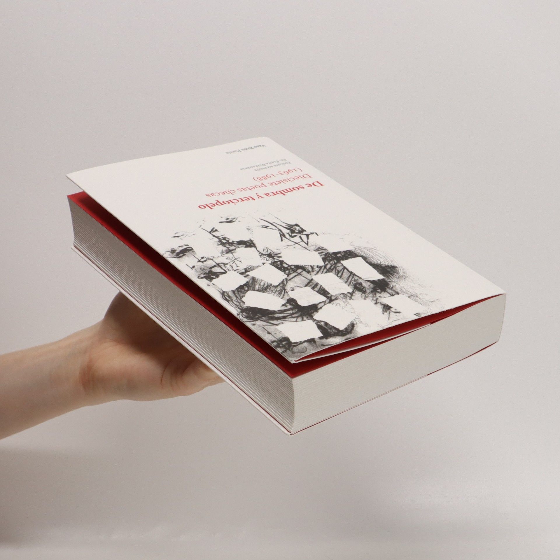 Elena Buixaderas De sombra y terciopelo : diecisiete poetas checas (1963-1988)