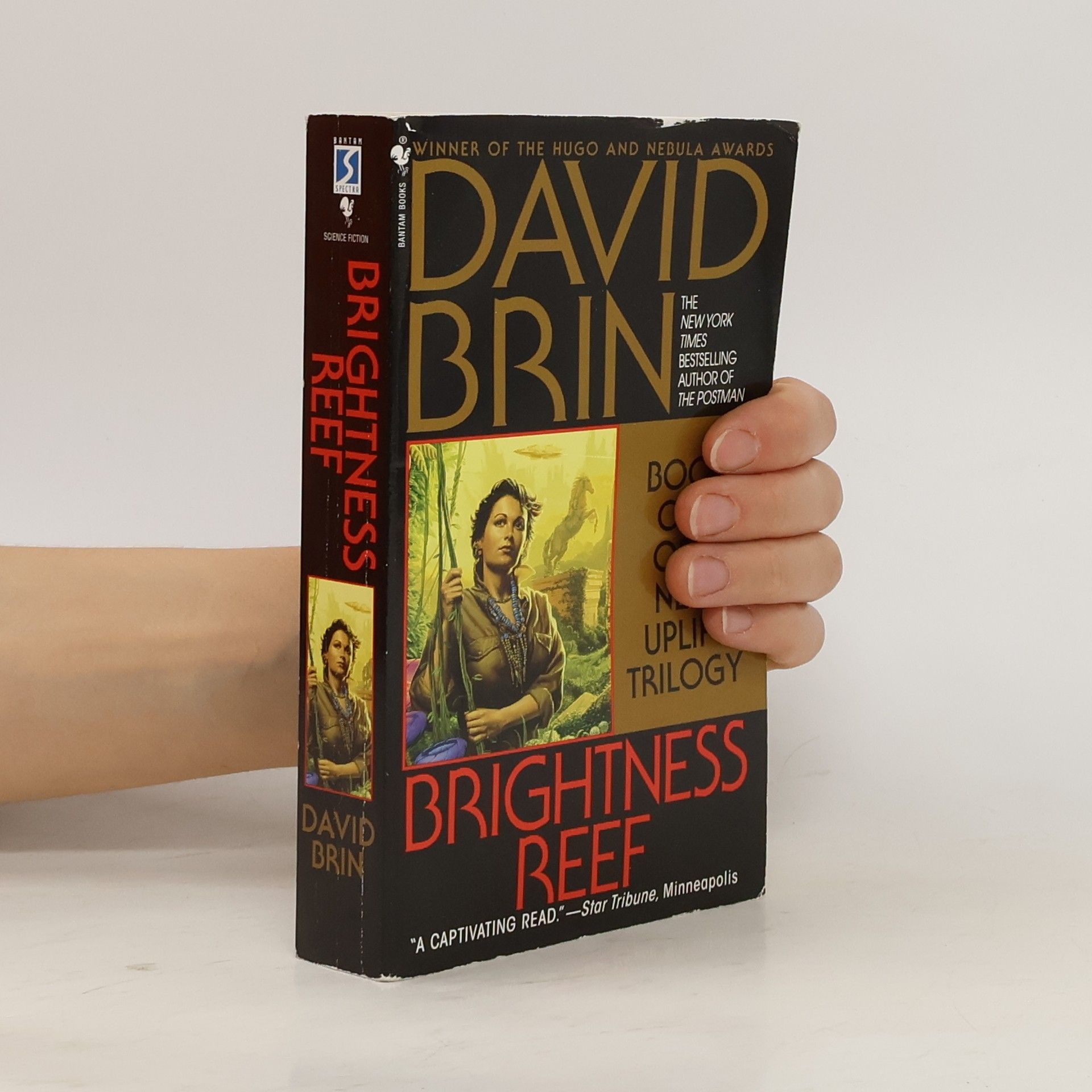 David Brin Brightness Reef