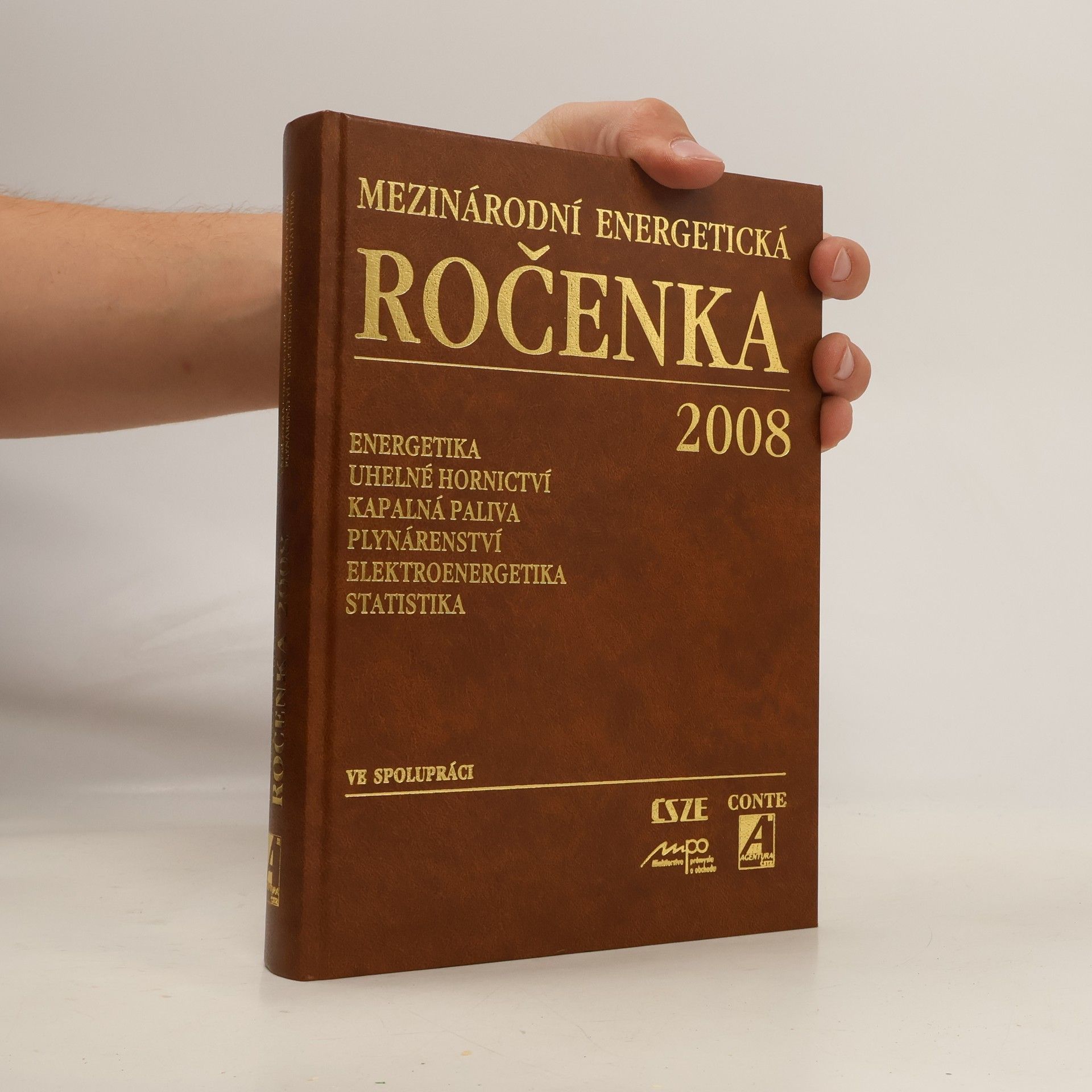 Autores varios Mezinárodní energetická ročenka 2008