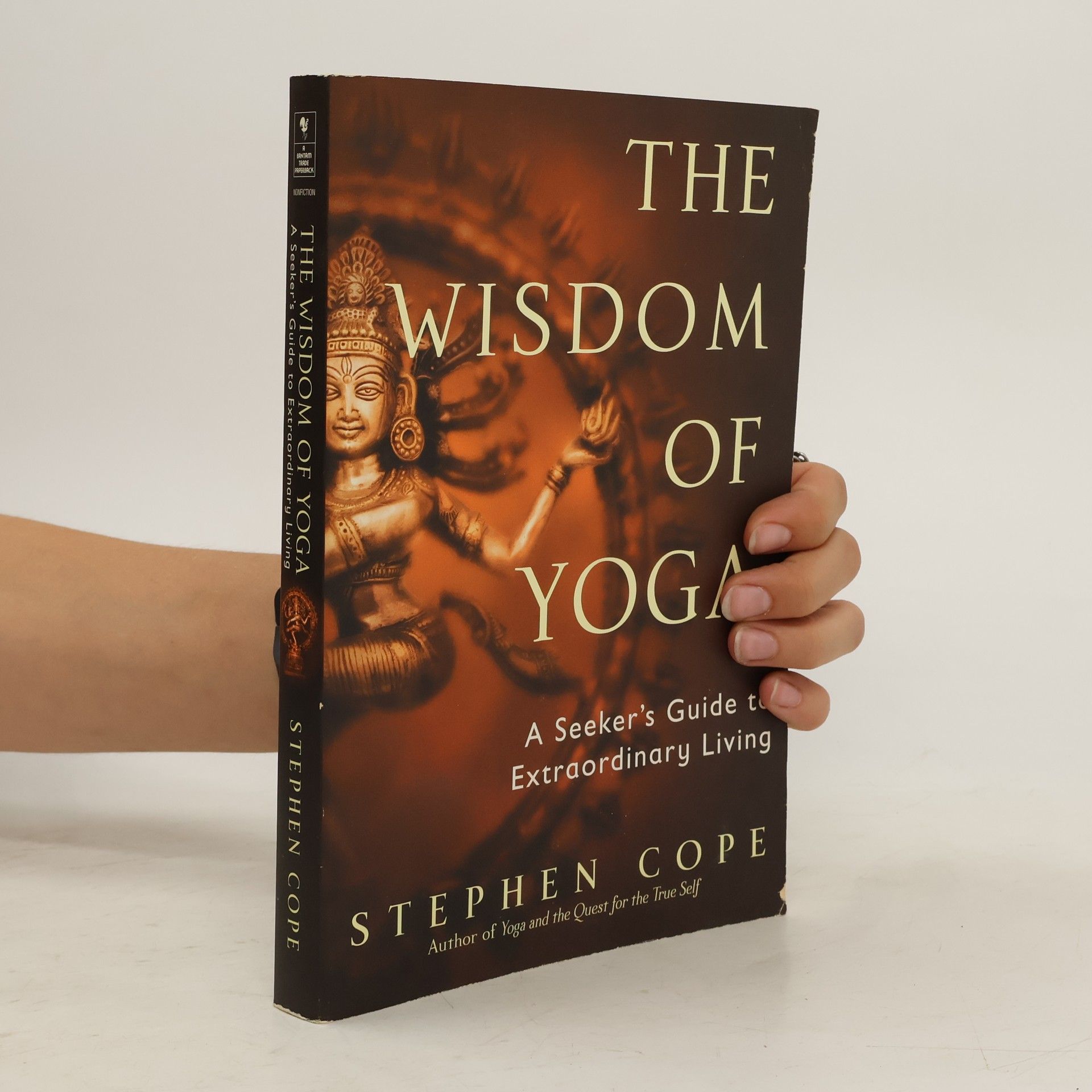 Stephen Cope The Wisdom of Yoga