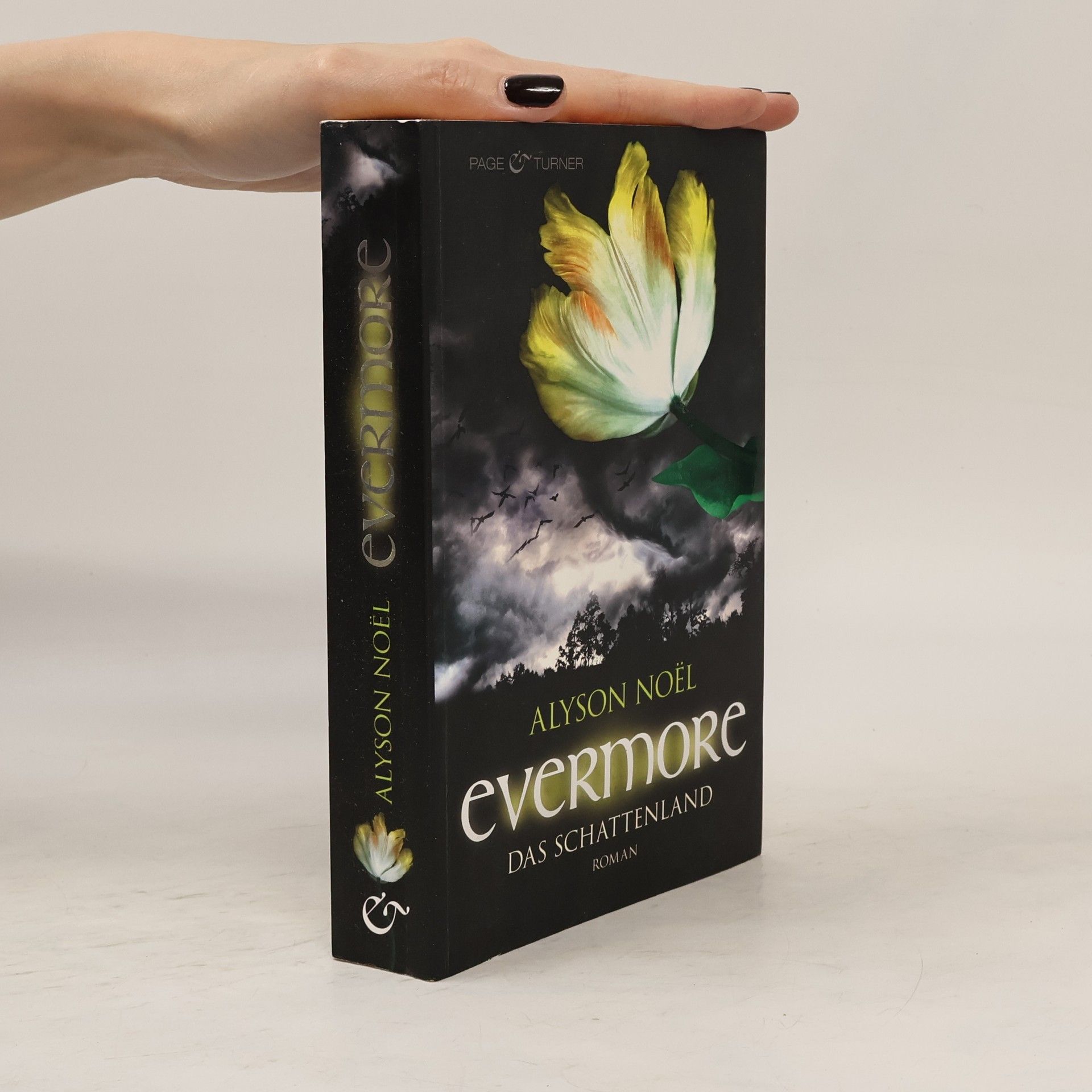Alyson Noël Evermore: Das Schattenland