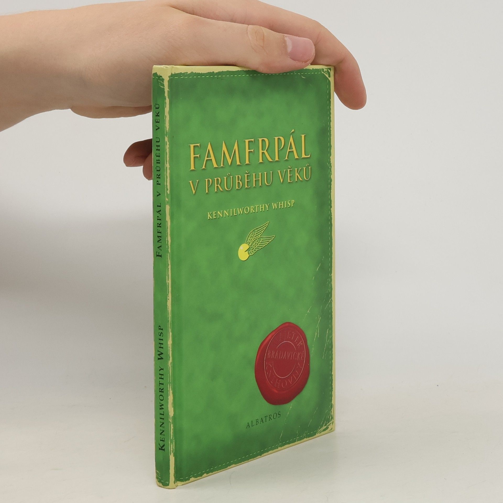 Joanne K. Rowling Famfrpál v průběhu věků