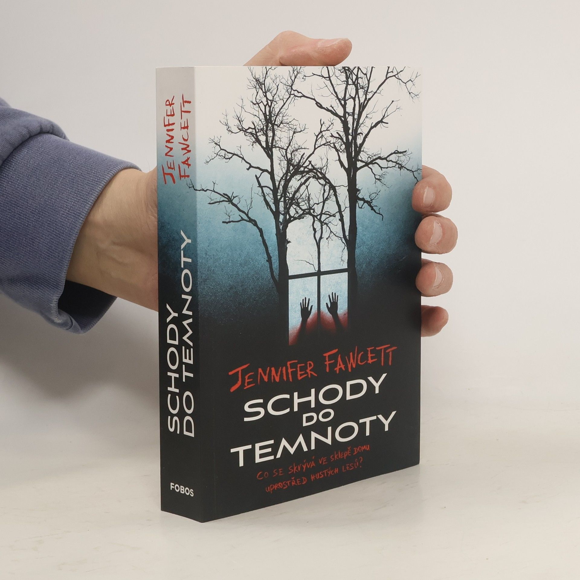 Jennifer Fawcett Schody do temnoty