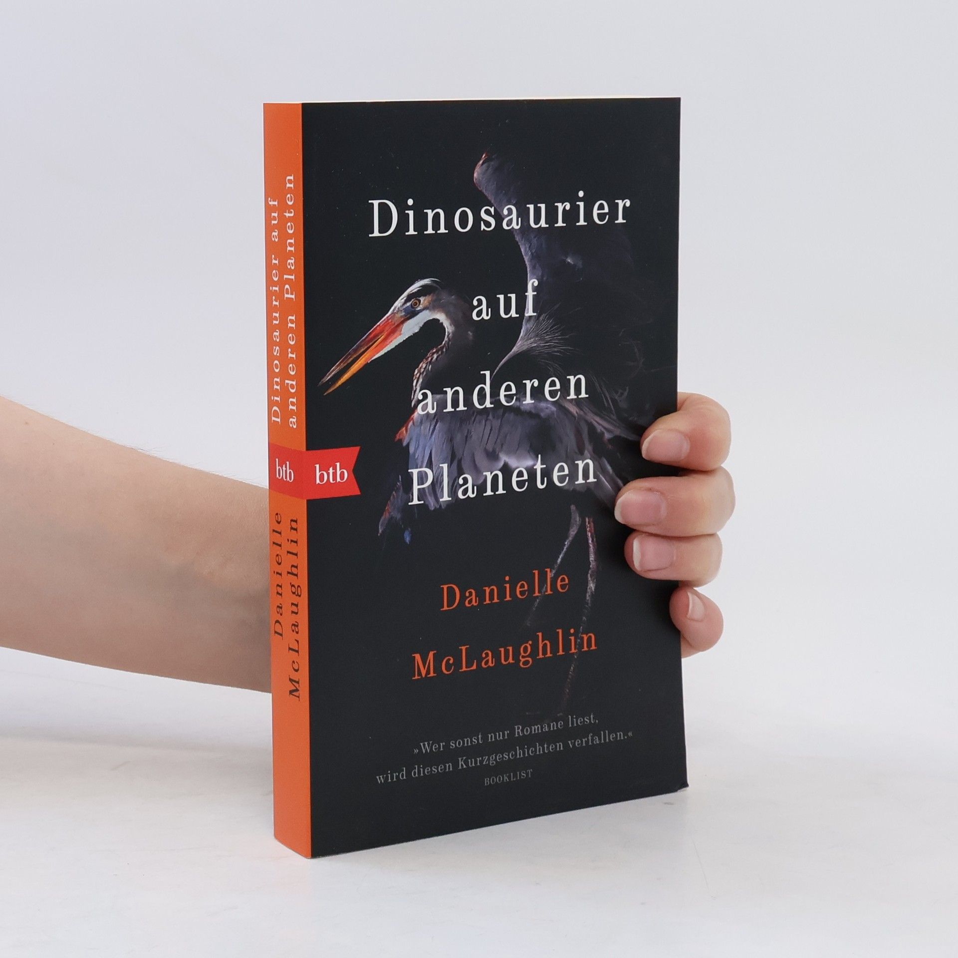 Danielle McLaughlin Dinosaurier auf anderen Planeten