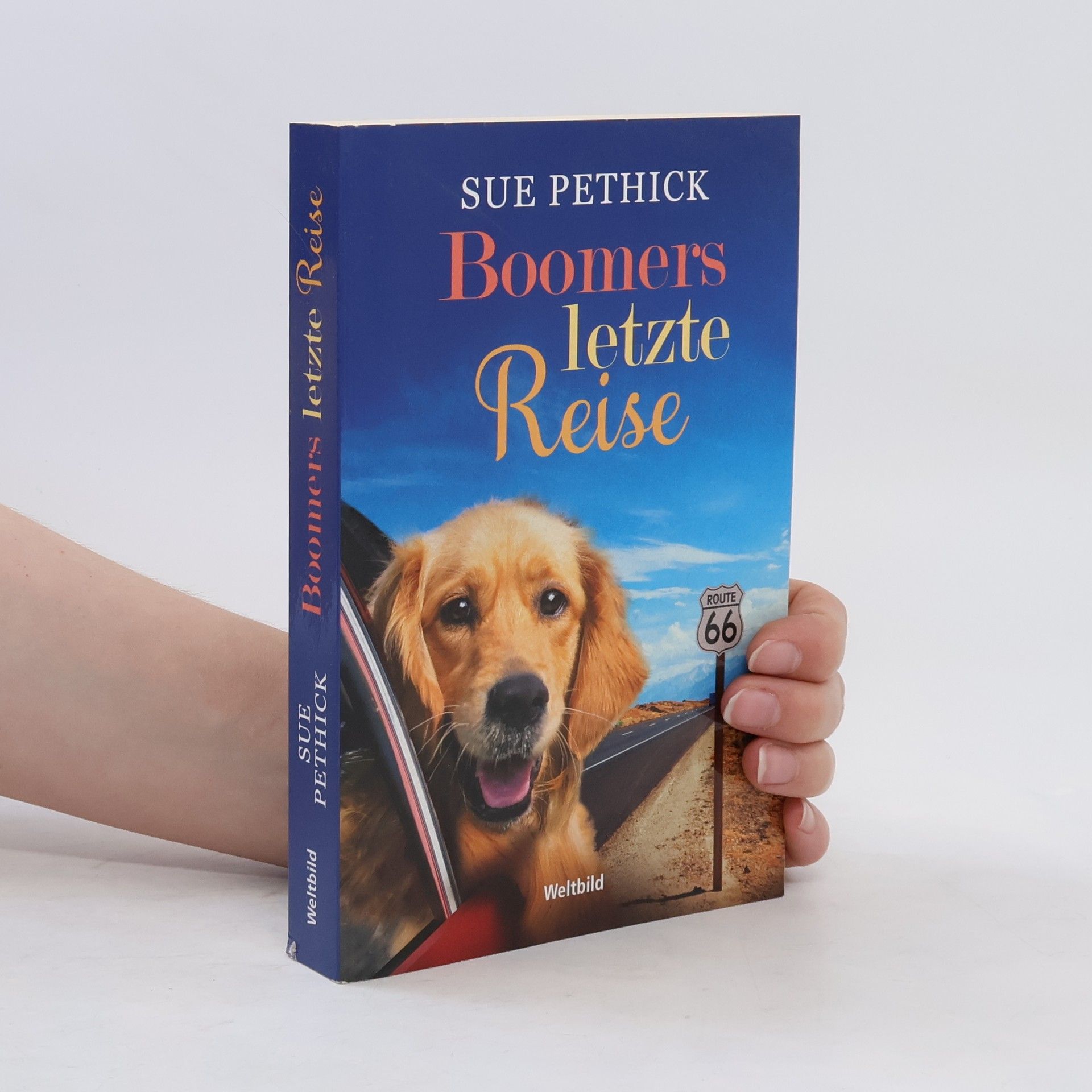 Sue Pethick Boomers letzte Reise