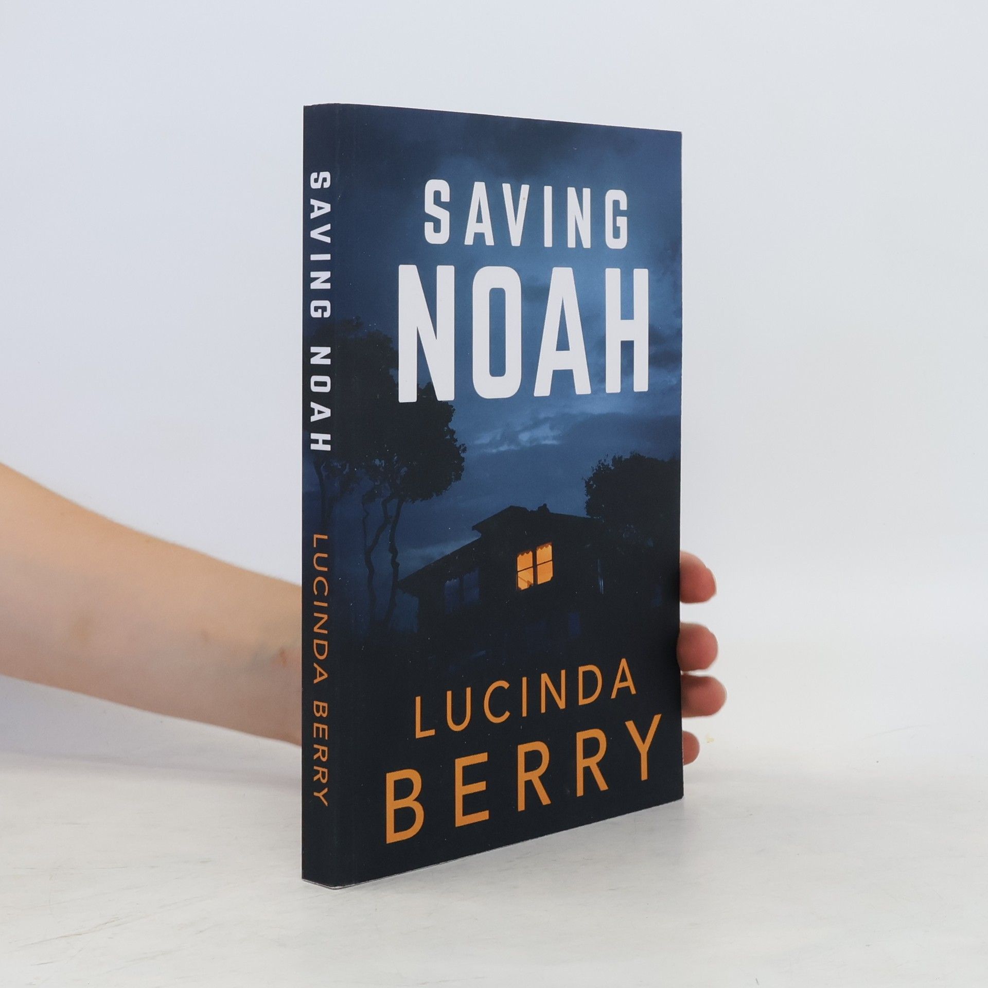 Lucinda Berry Saving Noah