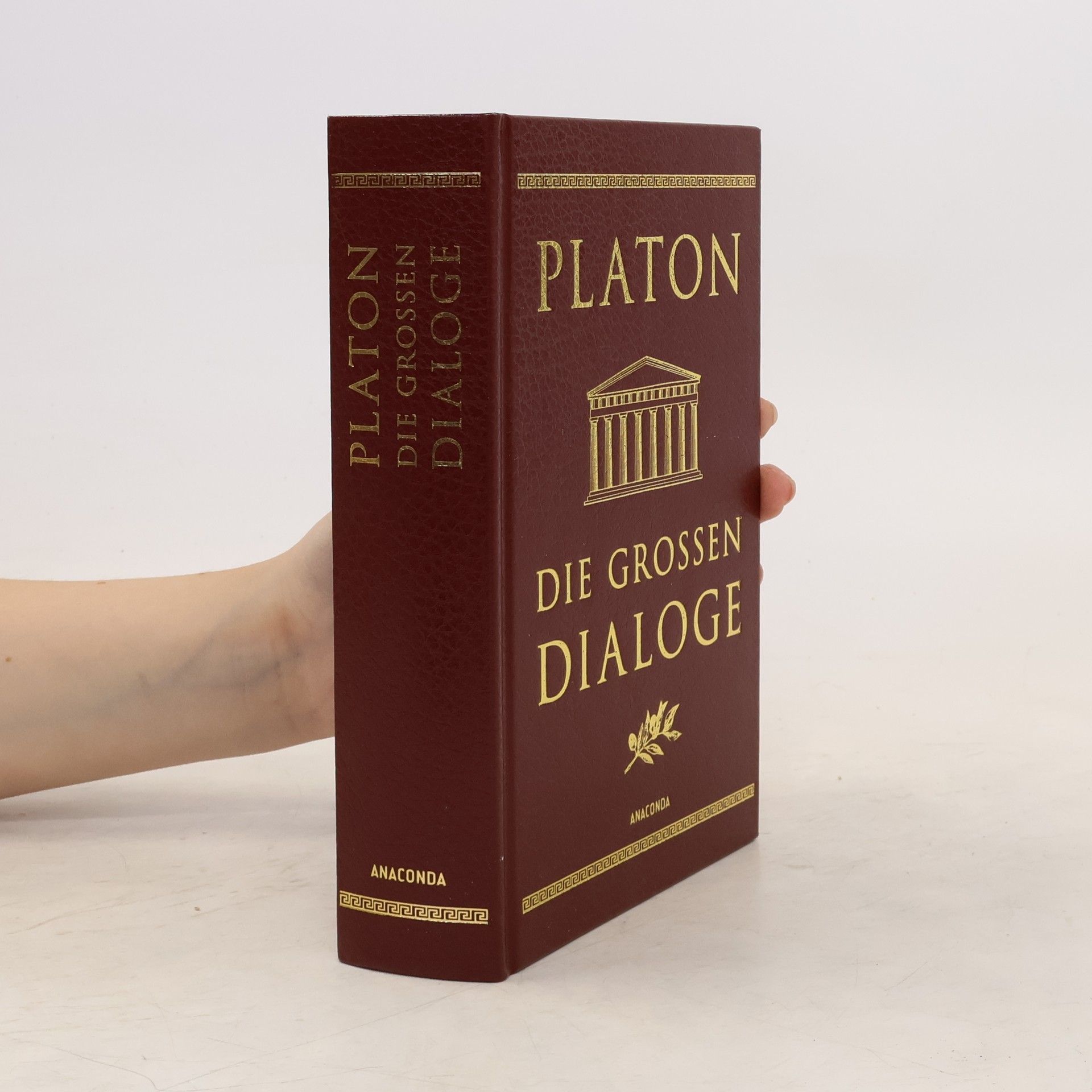 Platón Die großen Dialoge