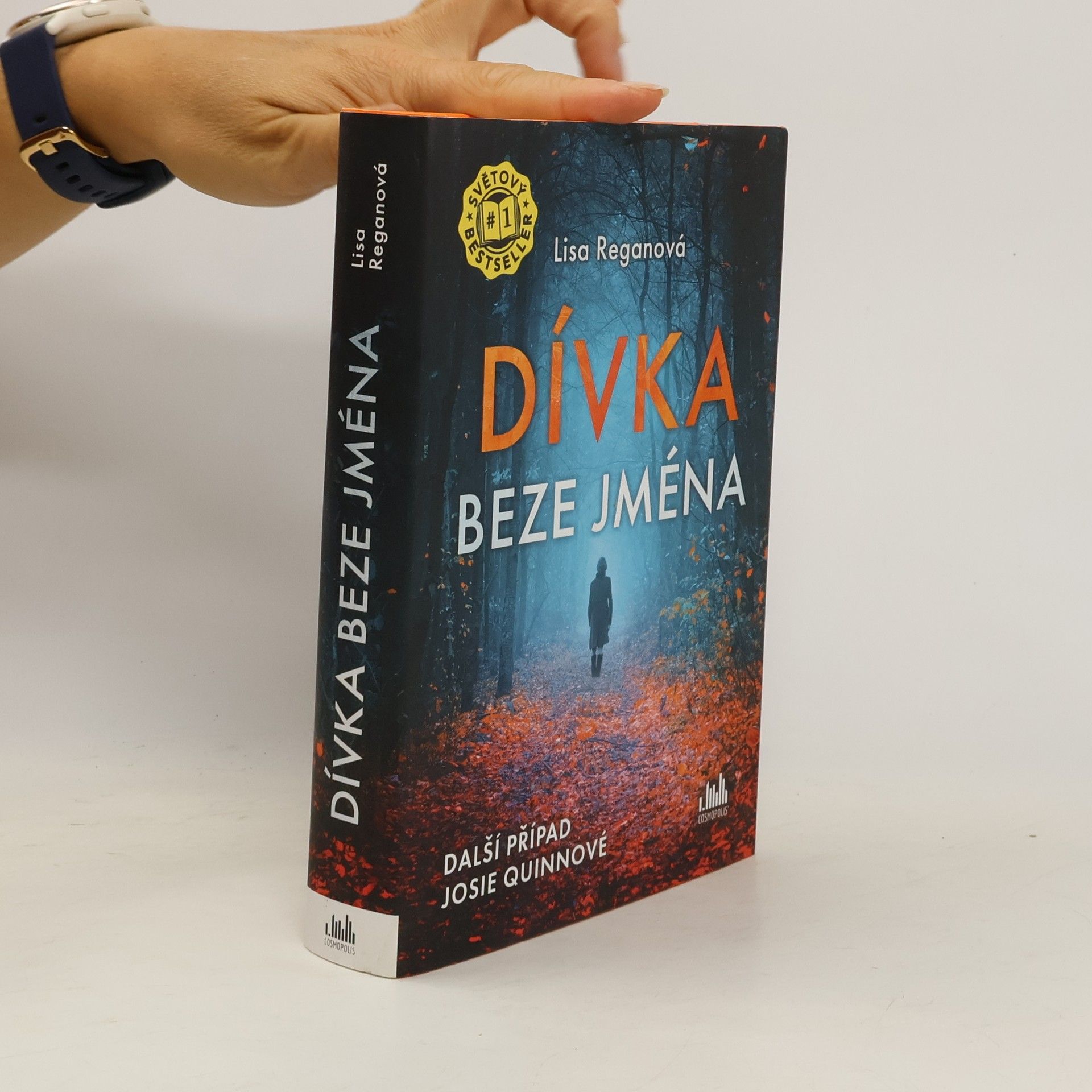 Lisa Regan Dívka beze jména: Další případ Josie Quinnové