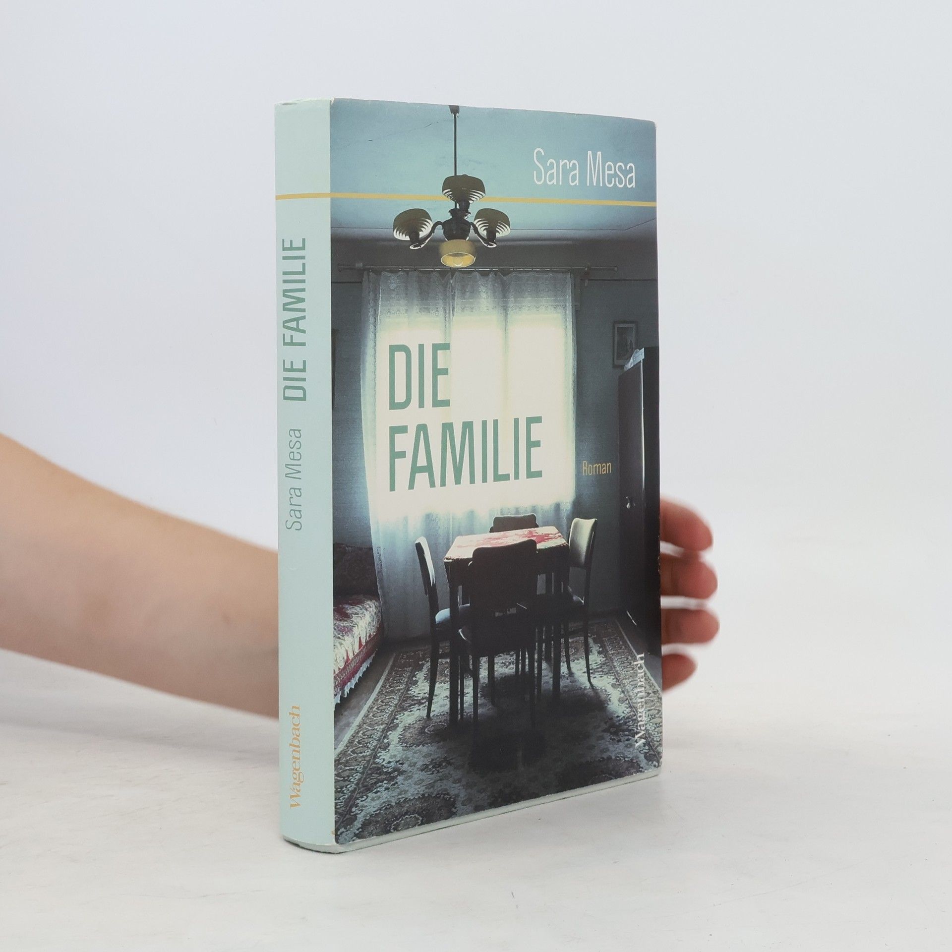 Sara Mesa Die Familie