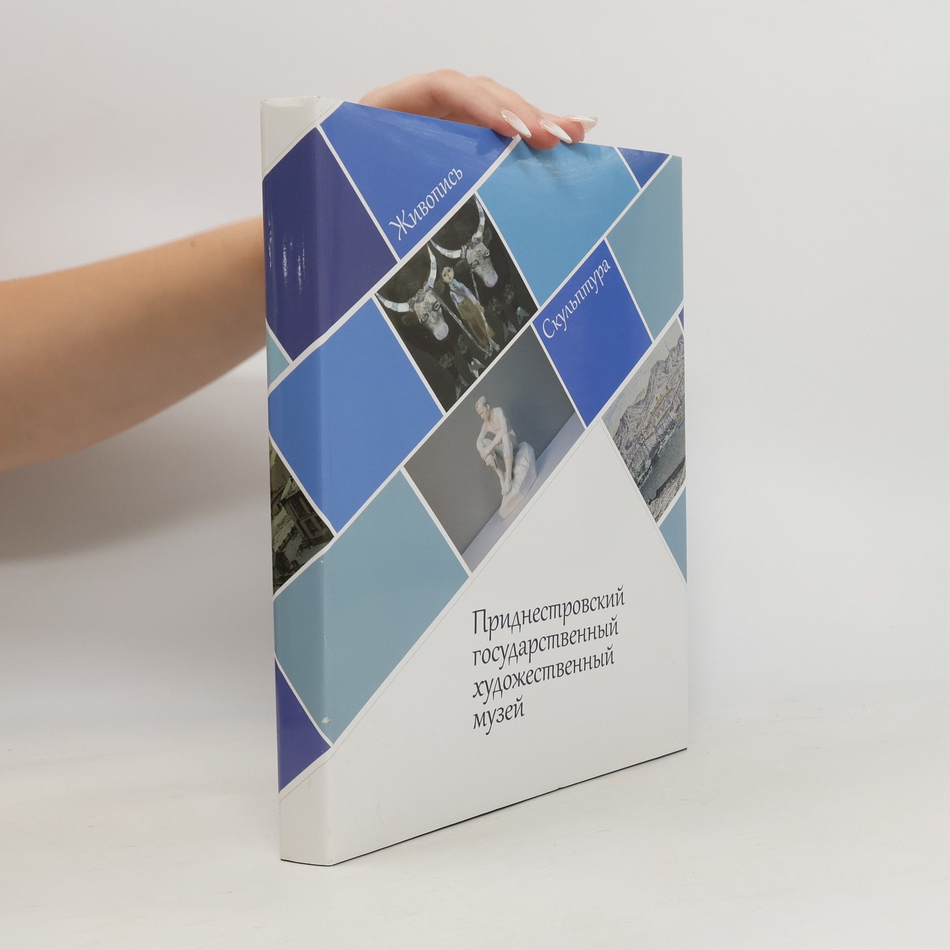 Наталья Владимировна Егорова Приднестровский государственный художественный музей