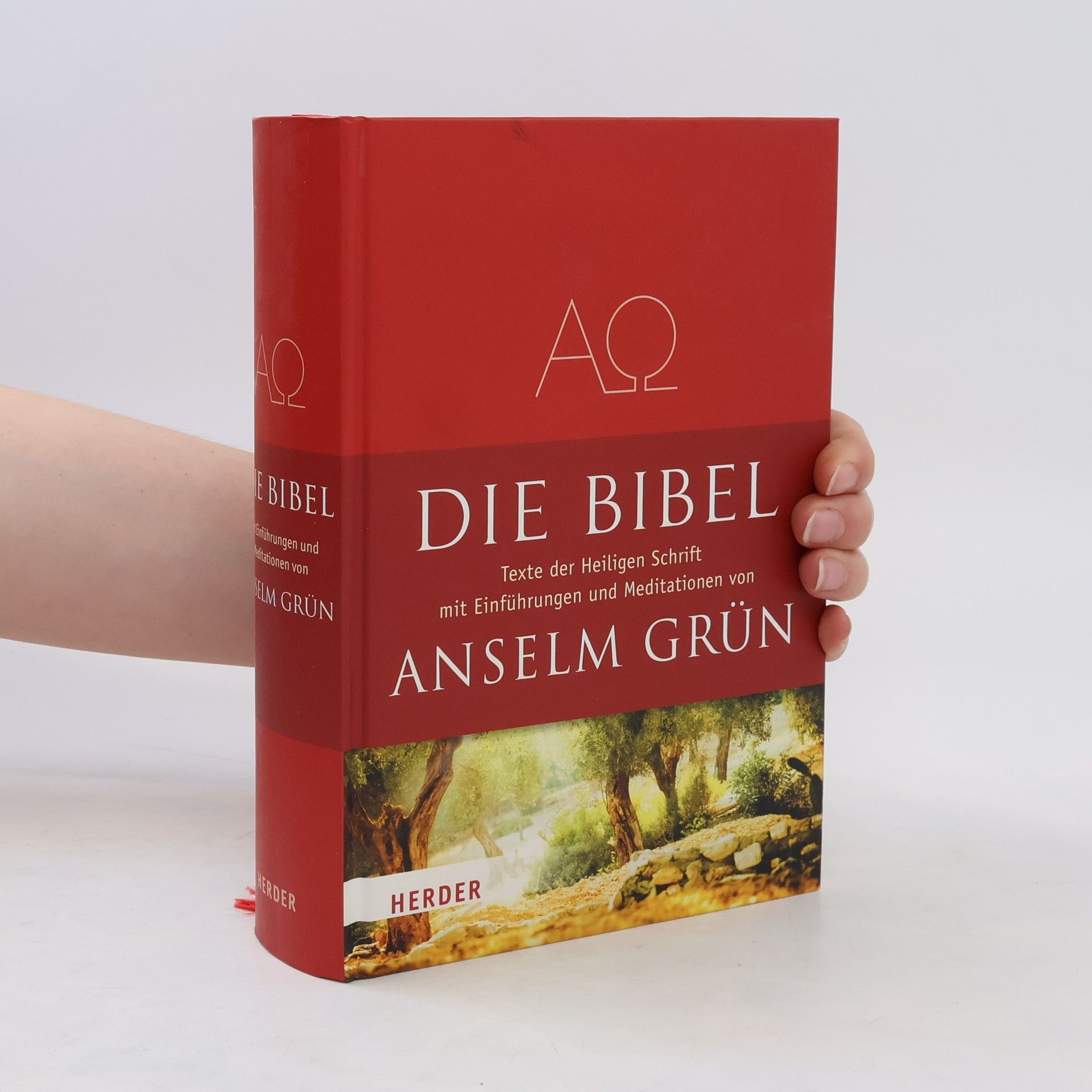 Anselm Grün Die Bibel