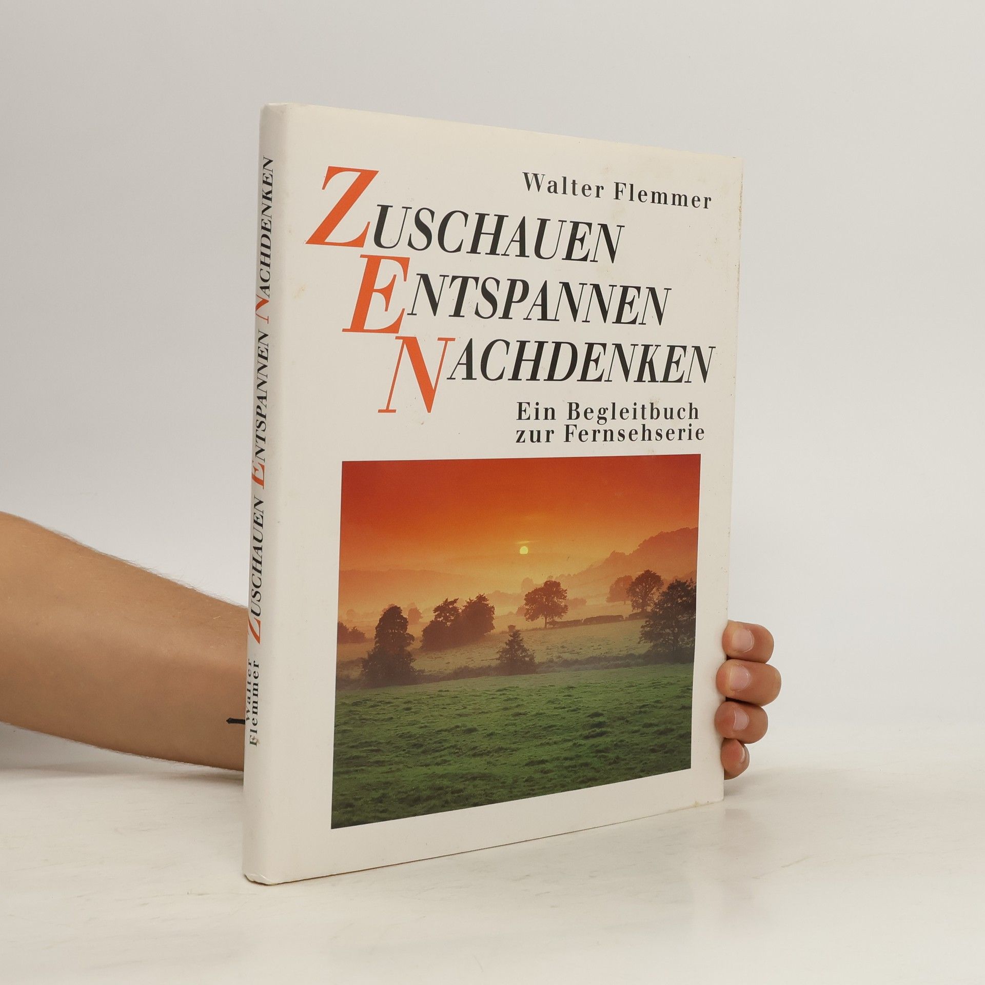 Walter Flemmer Zuschauen, Entspannen, Nachdenken
