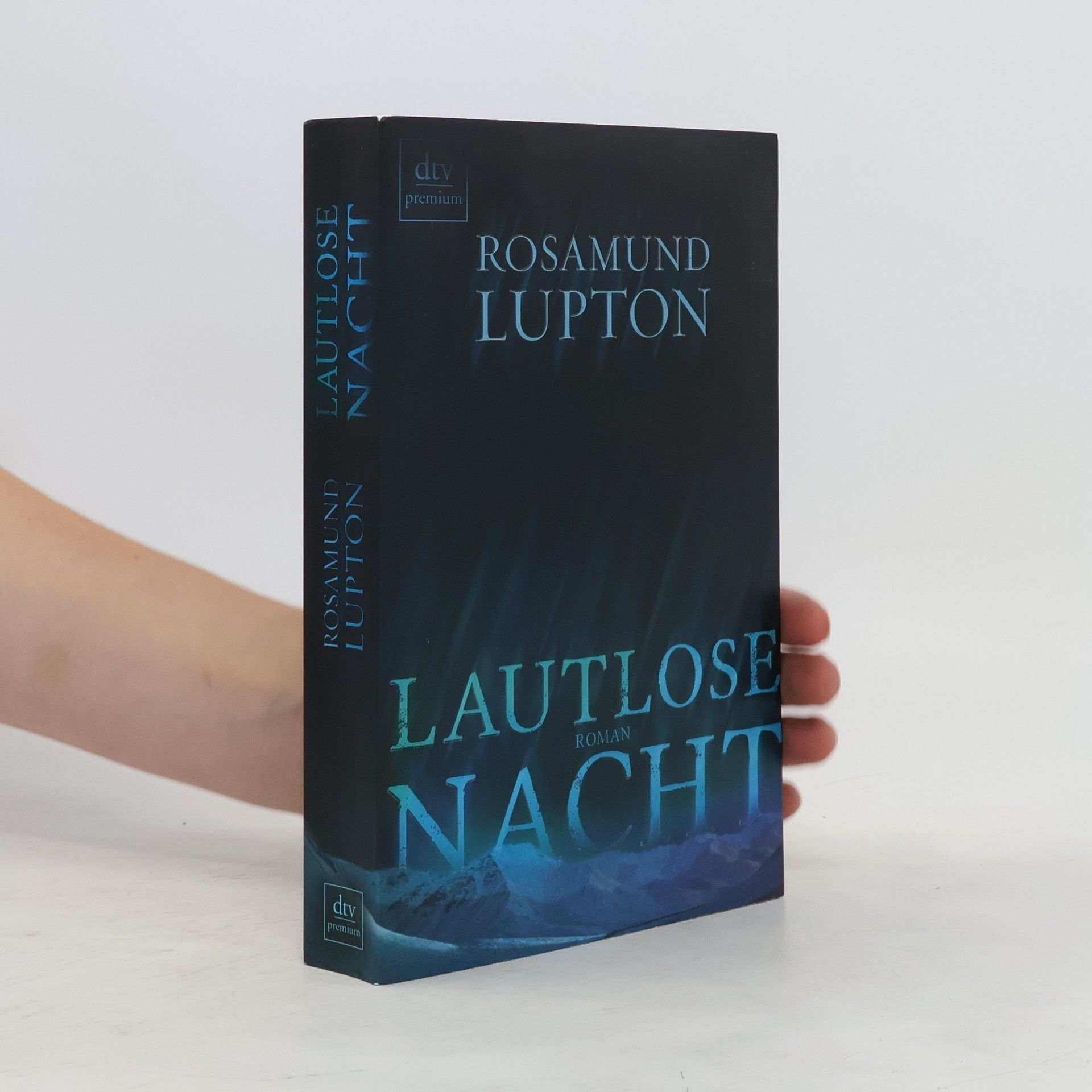Rosamund Lupton Lautlose Nacht