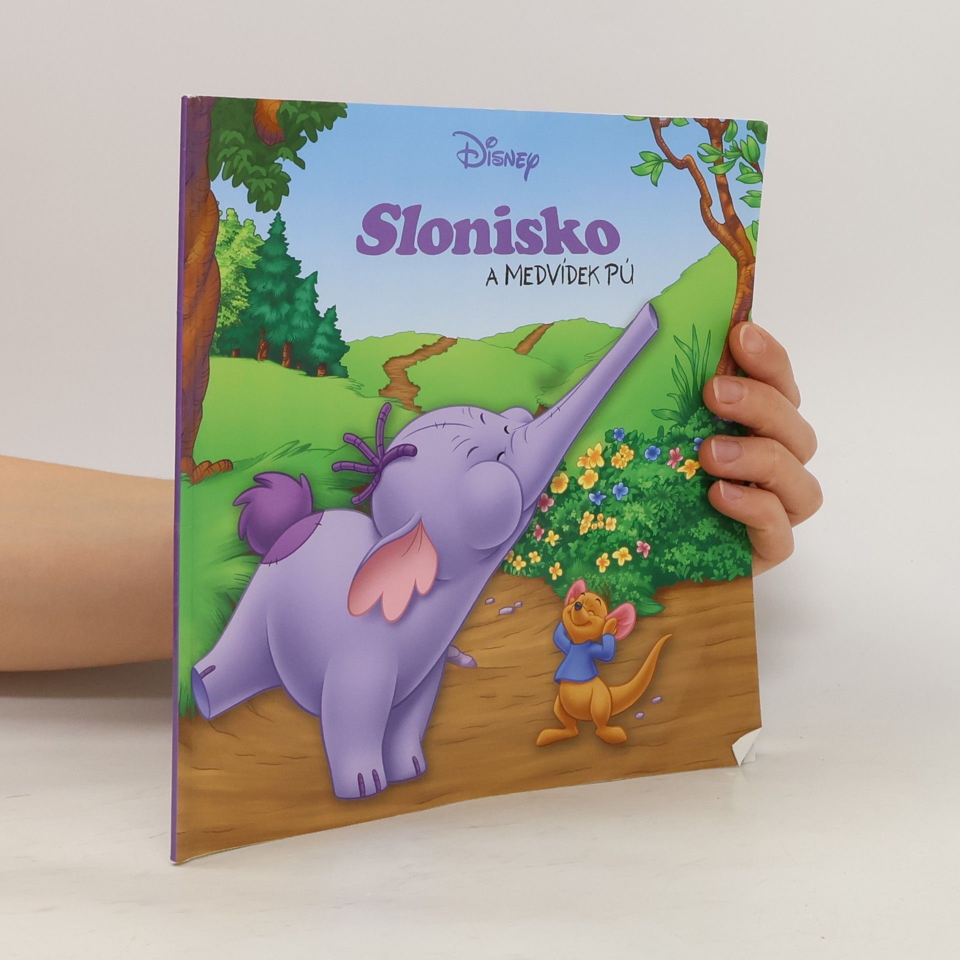 Kolektiv autorů Slonisko a medvídek Pú