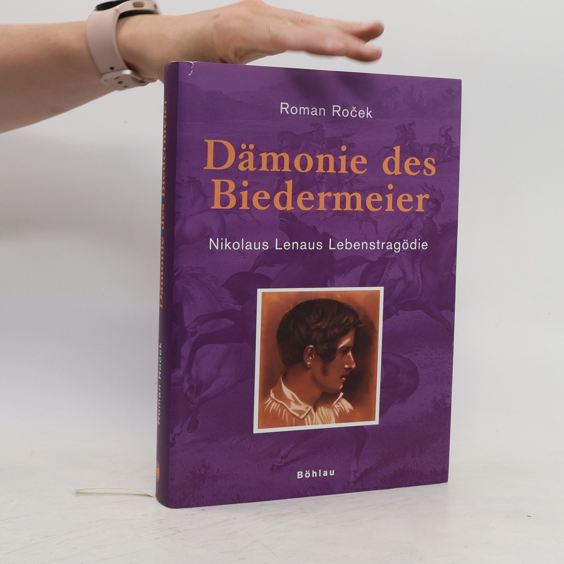 Roman Roc ek Dämonie des Biedermeier