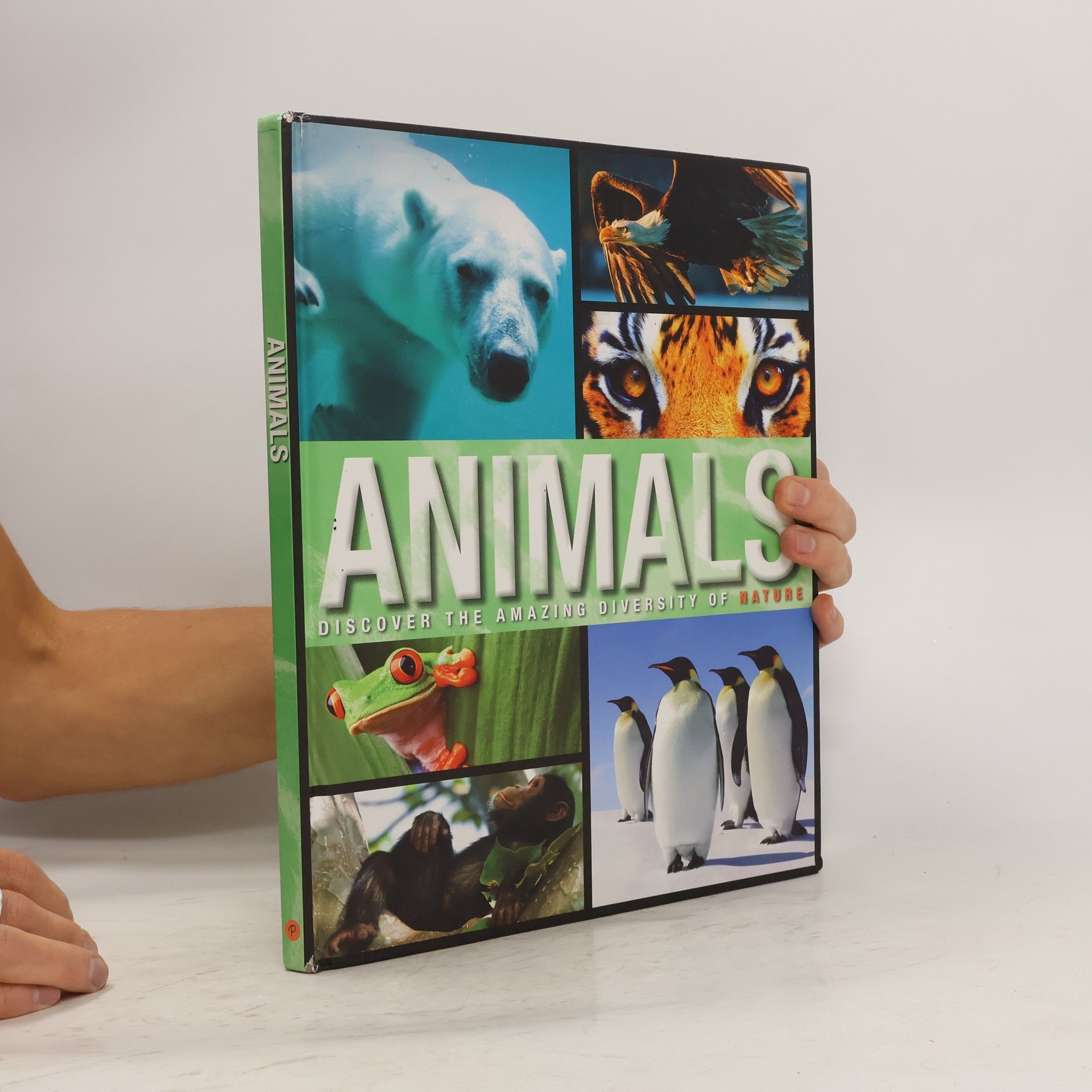 Autorenkollektiv Animals: Discover the Amazing Diversity of Nature