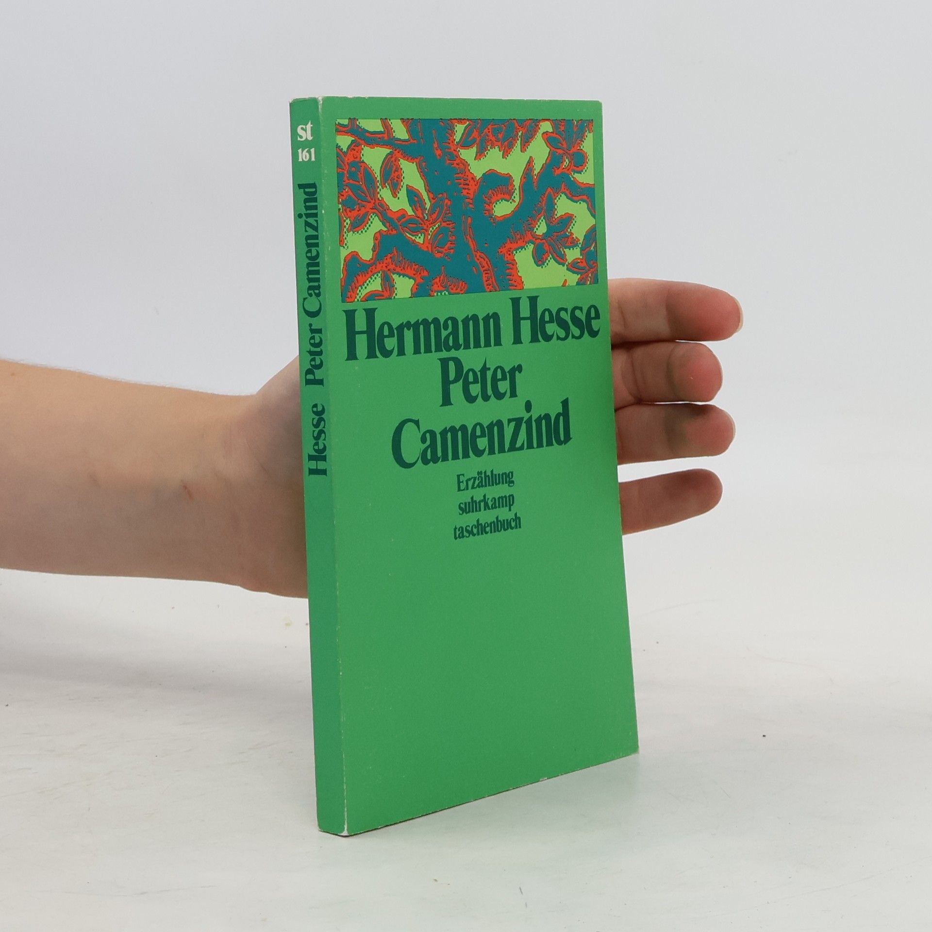 Hermann Hesse Peter Camenzind
